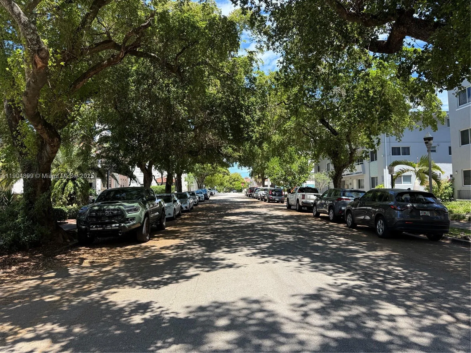 223 Calabria Ave, #10