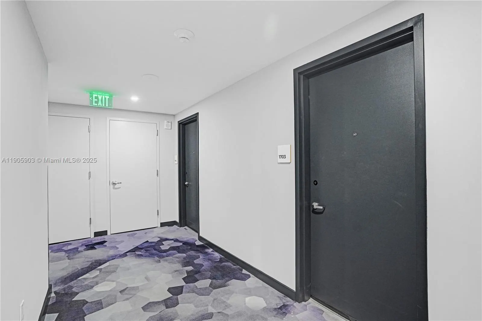 227 NE 2nd St, #1703