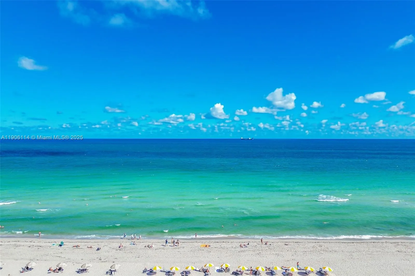 100 Lincoln Rd, #502