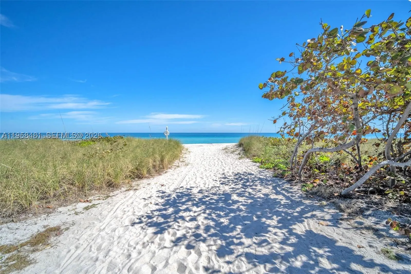 9341 Collins Ave #806