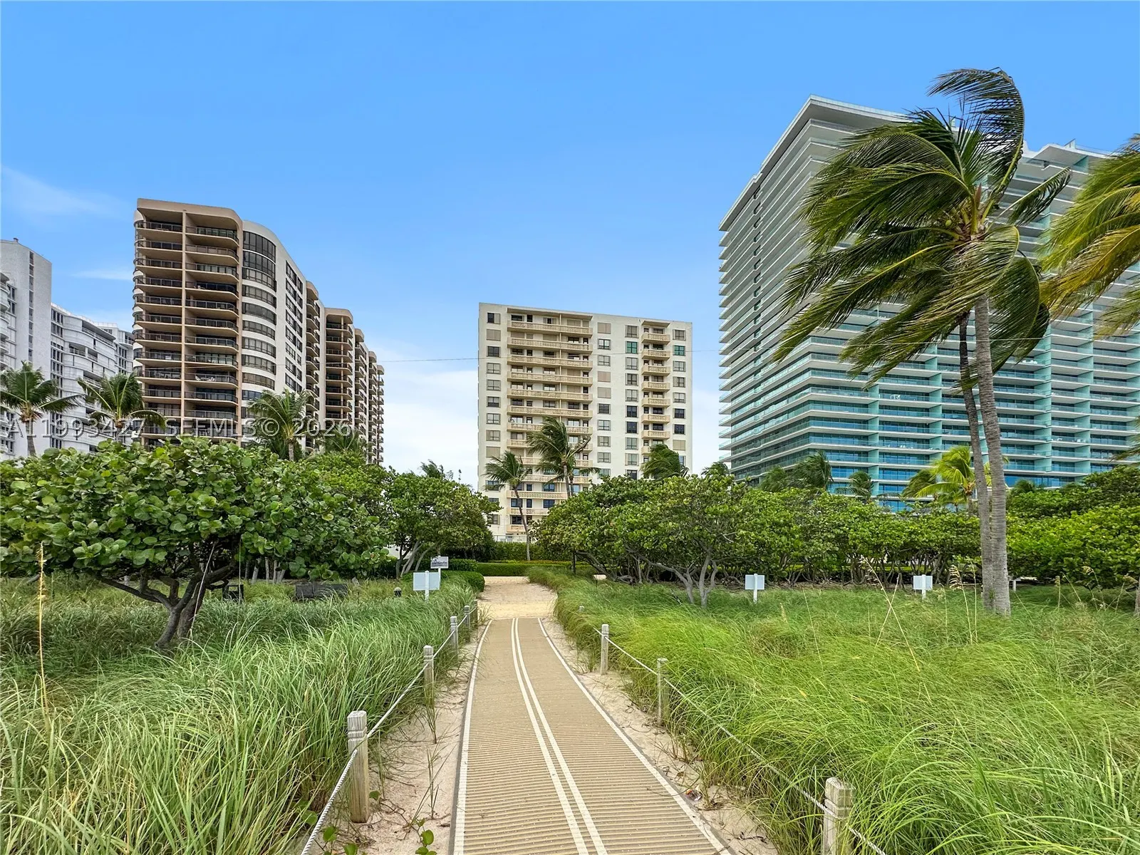 10185 Collins Ave #502