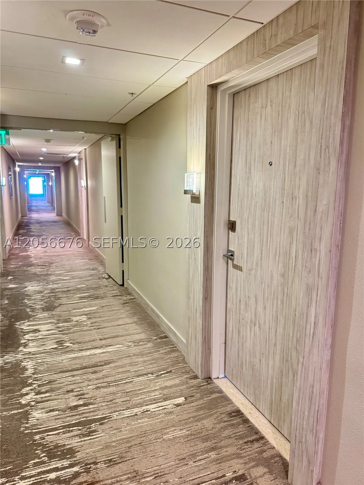 10275 Collins Ave #316