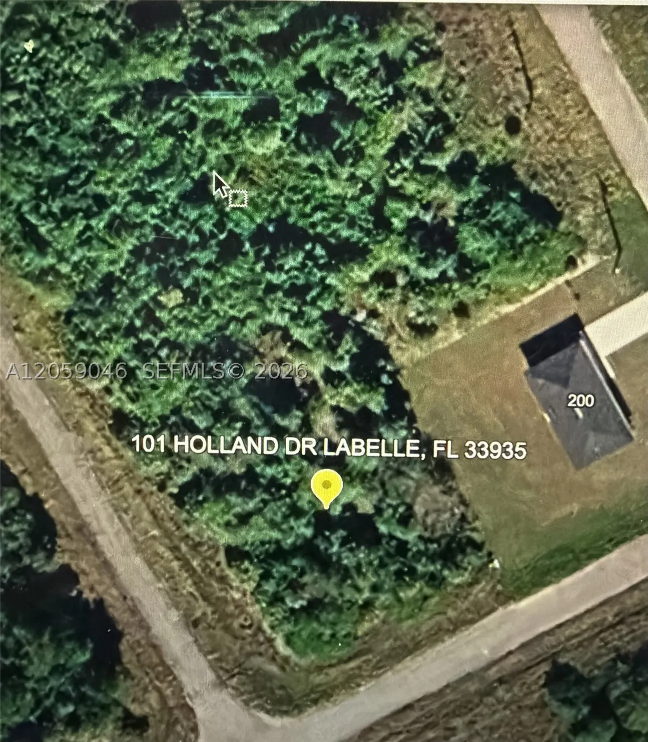 101 HOLLAND DR
