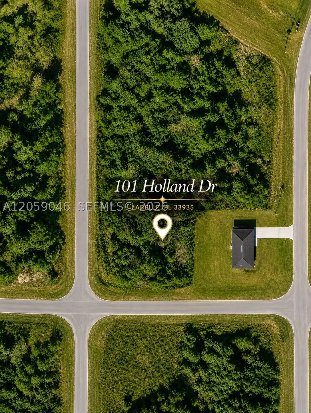 101 HOLLAND DR