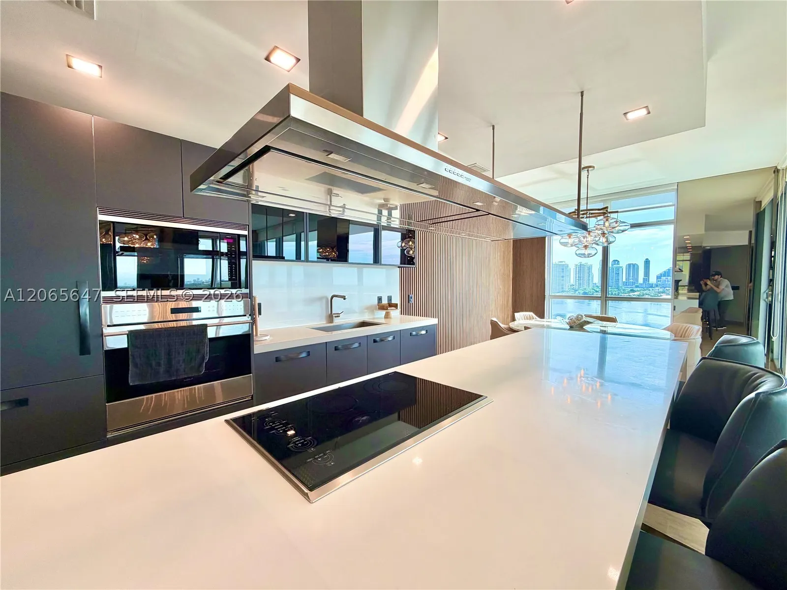17301 Biscayne Blvd #1409