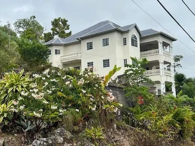 1 Bamboo, St. Ann, Jamaica