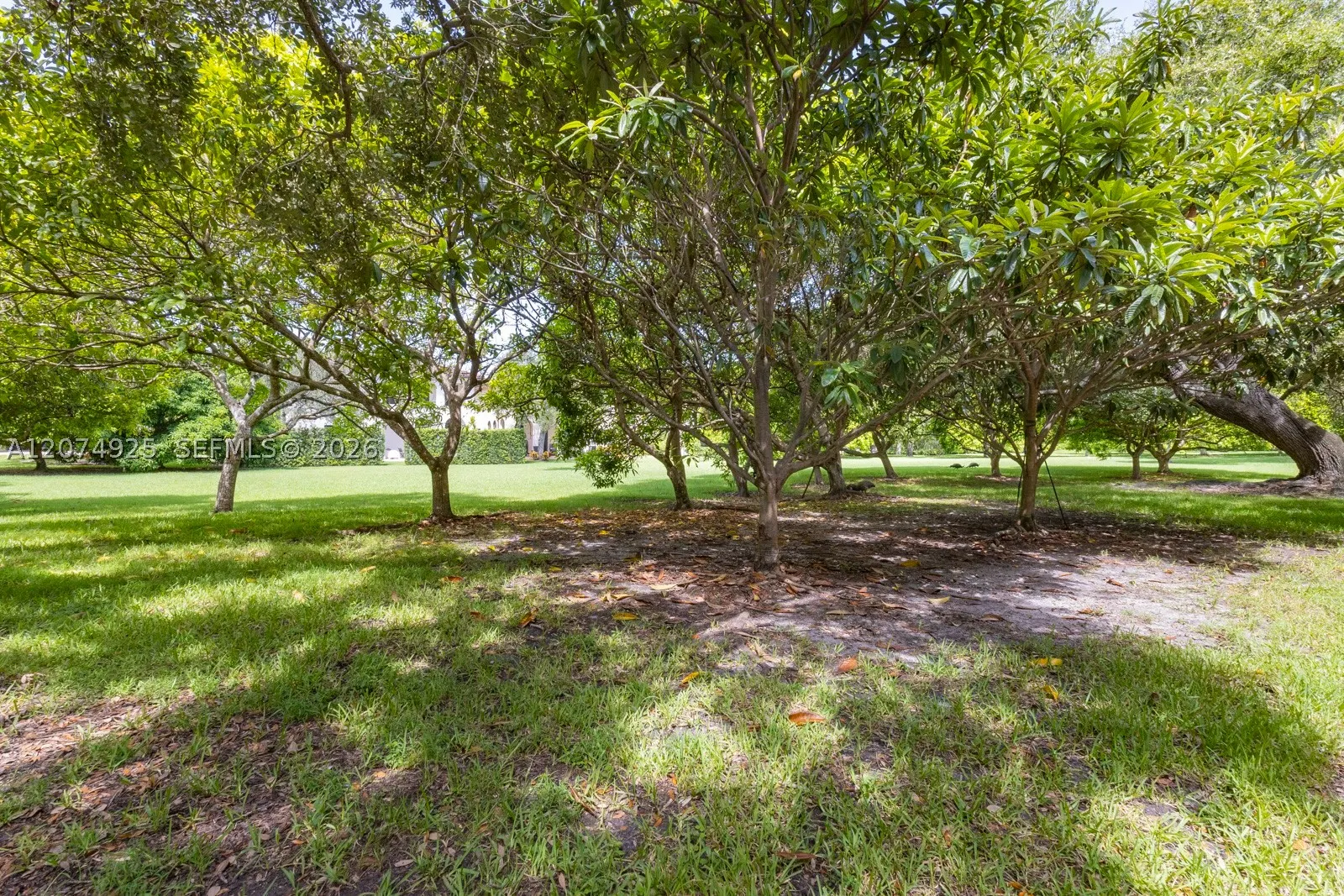 11404 Four Fillies Rd