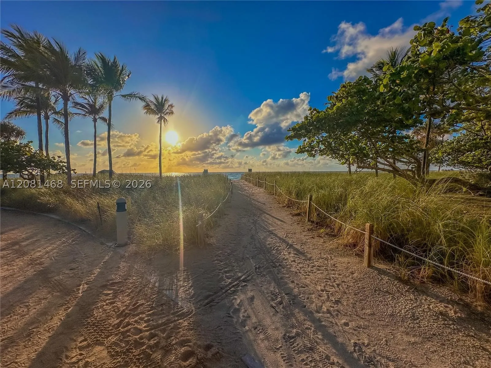 9801 Collins Ave #5U
