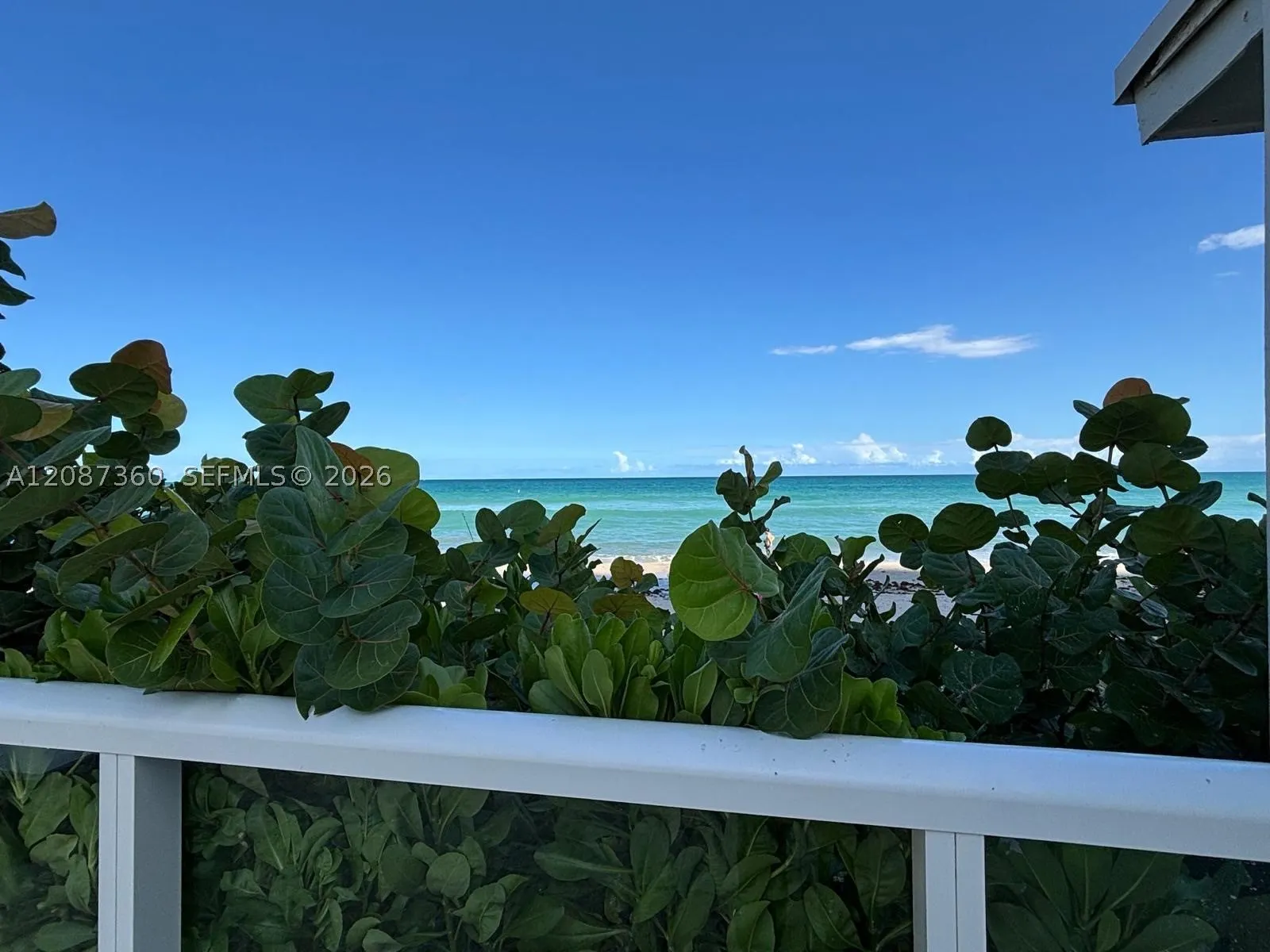 19201 Collins Ave #747