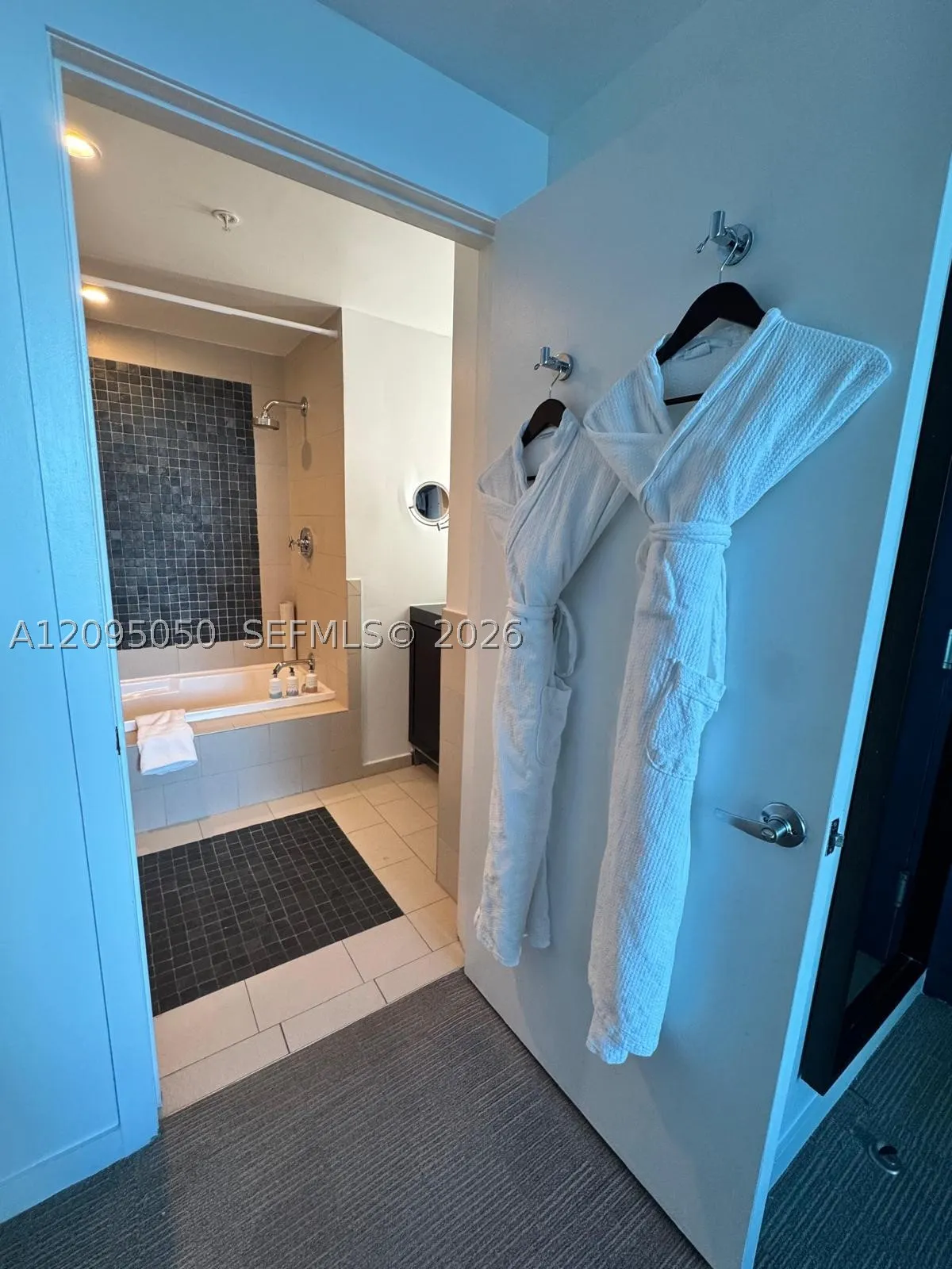 17315 Collins Ave #2406