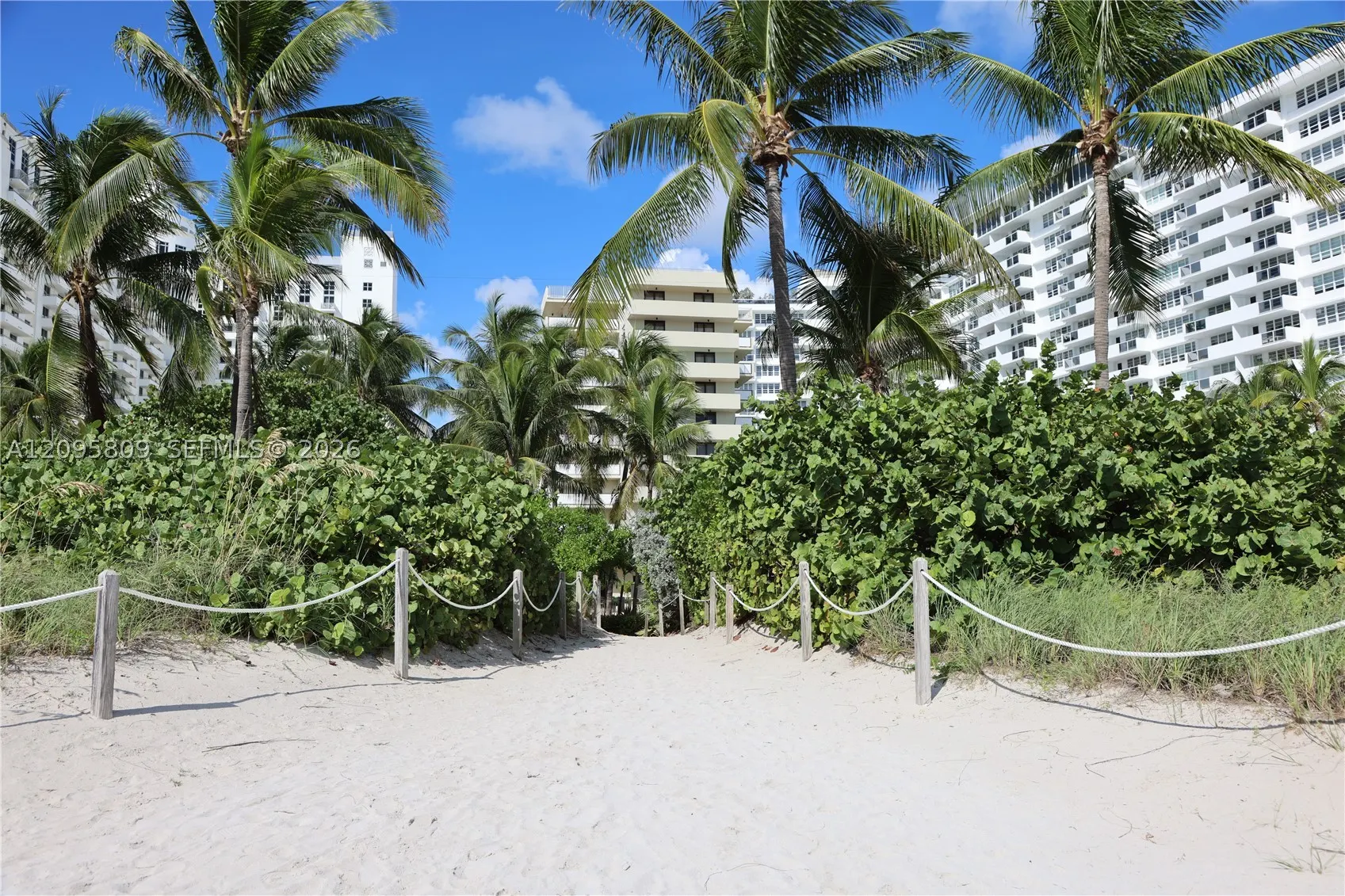 1623 Collins Ave #812