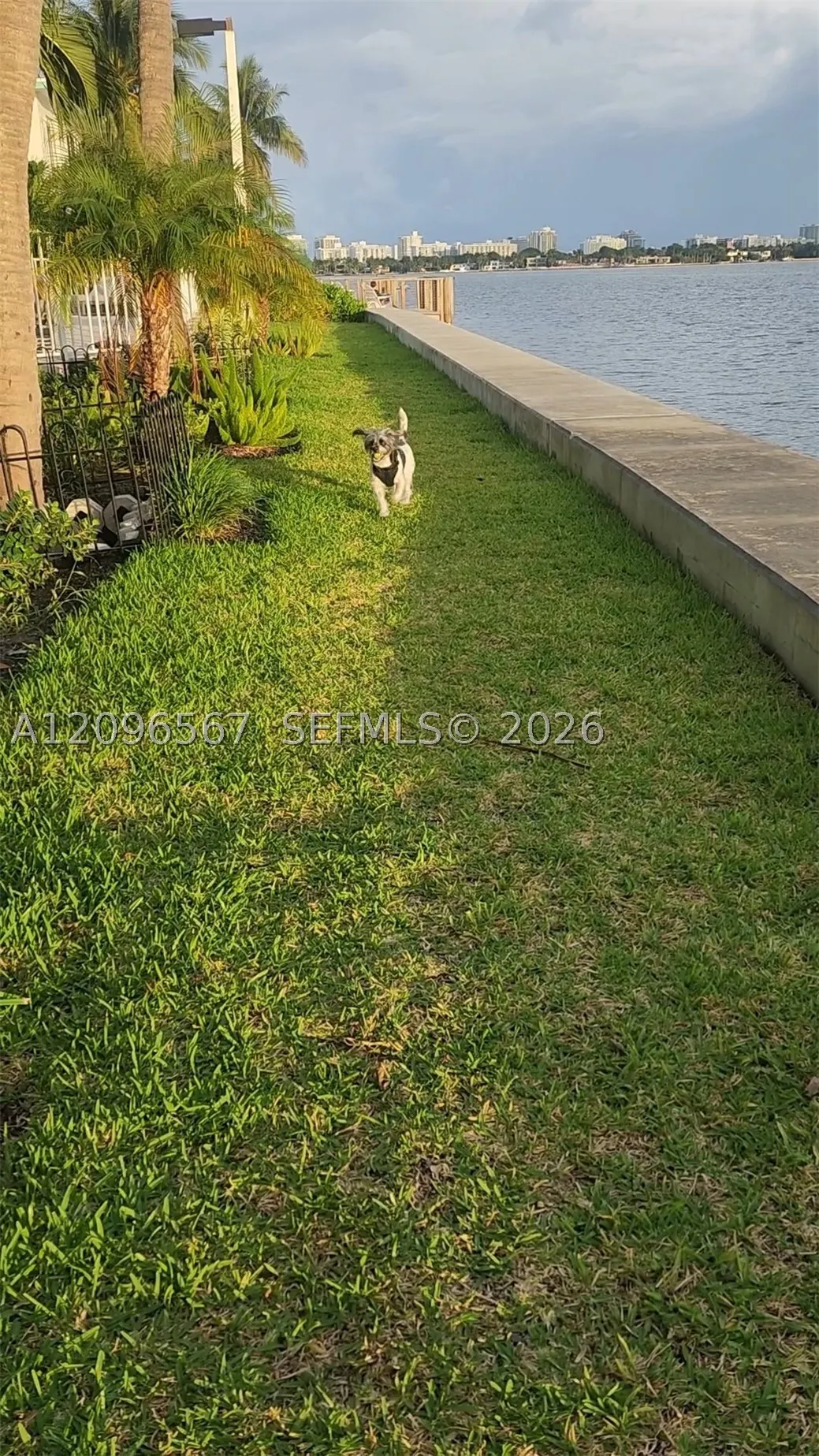 2000 Bay Dr #203
