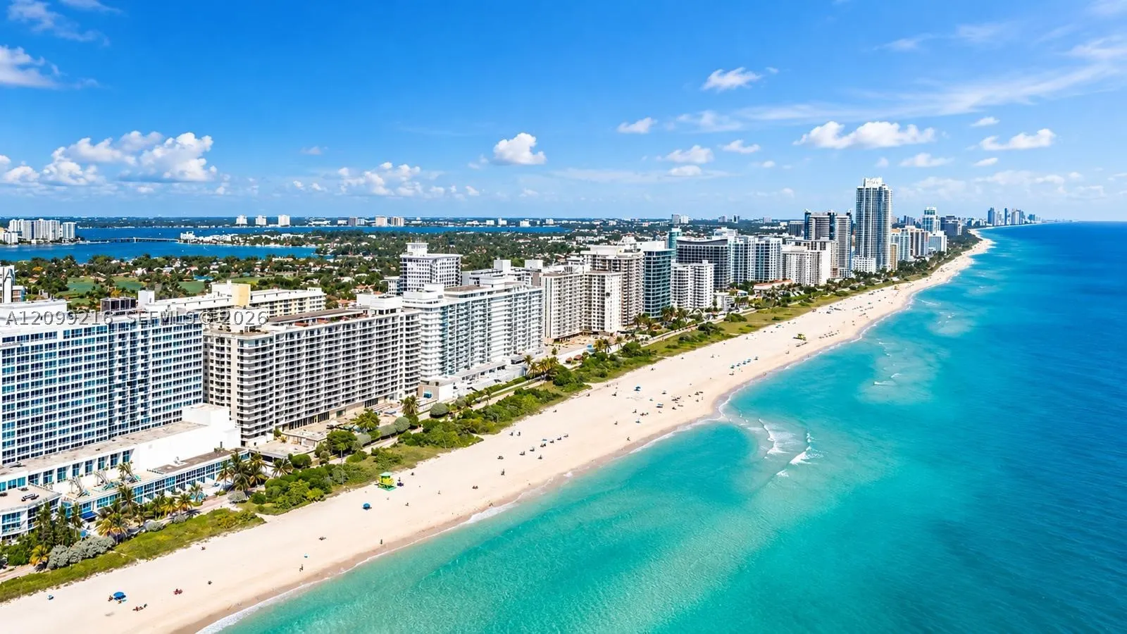 5555 Collins Ave #14Y