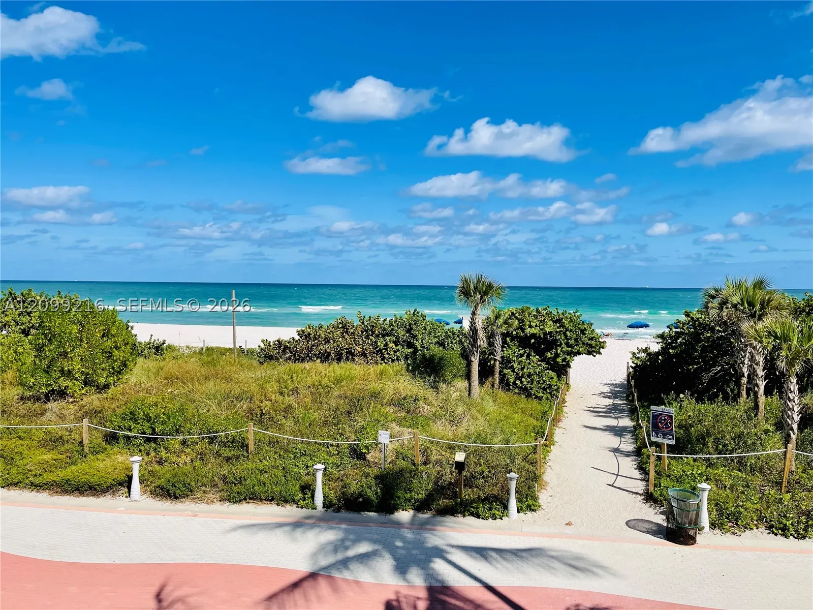 5555 Collins Ave #14Y