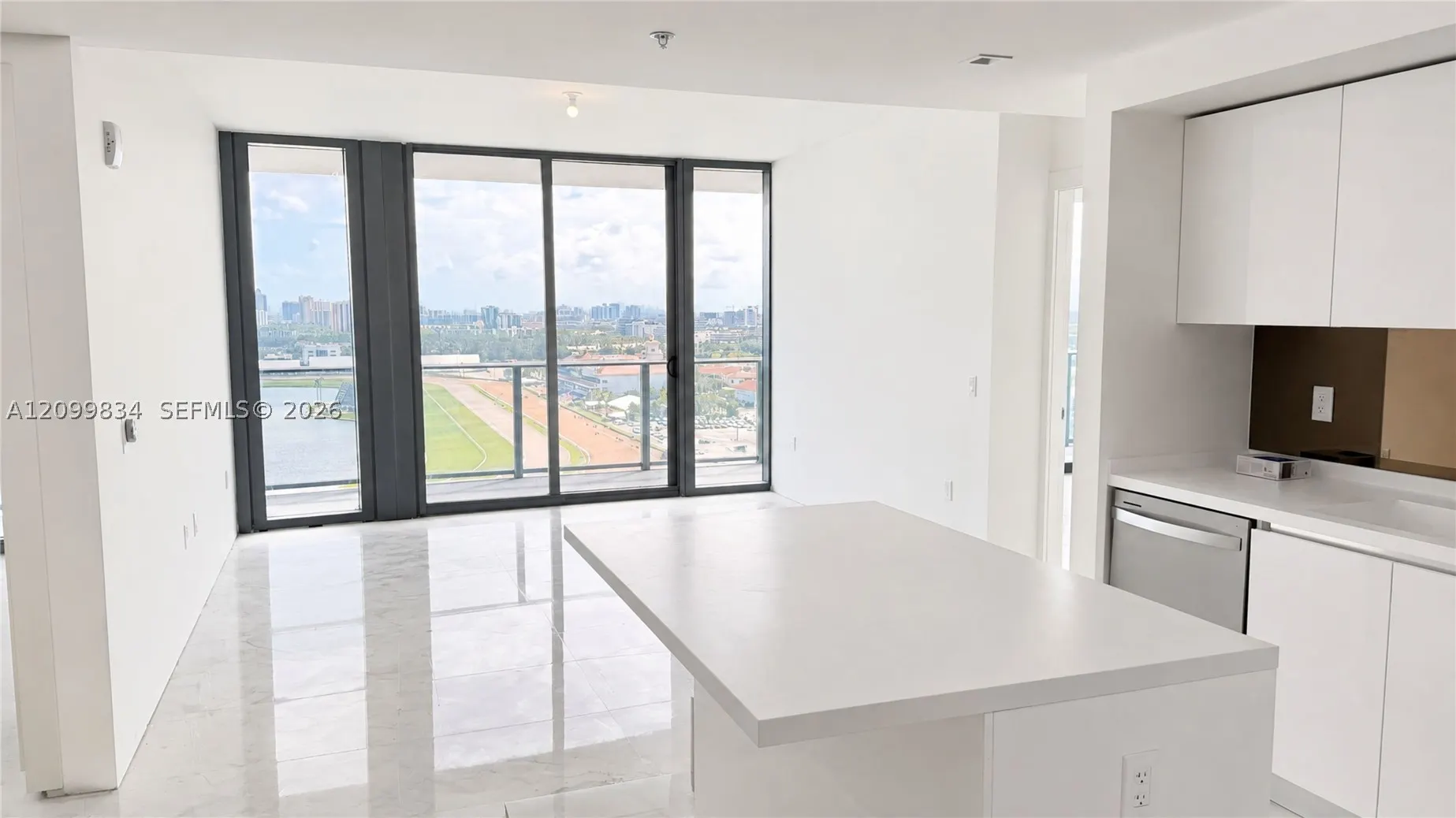 1170 E Hallandale beach Blvd #2009