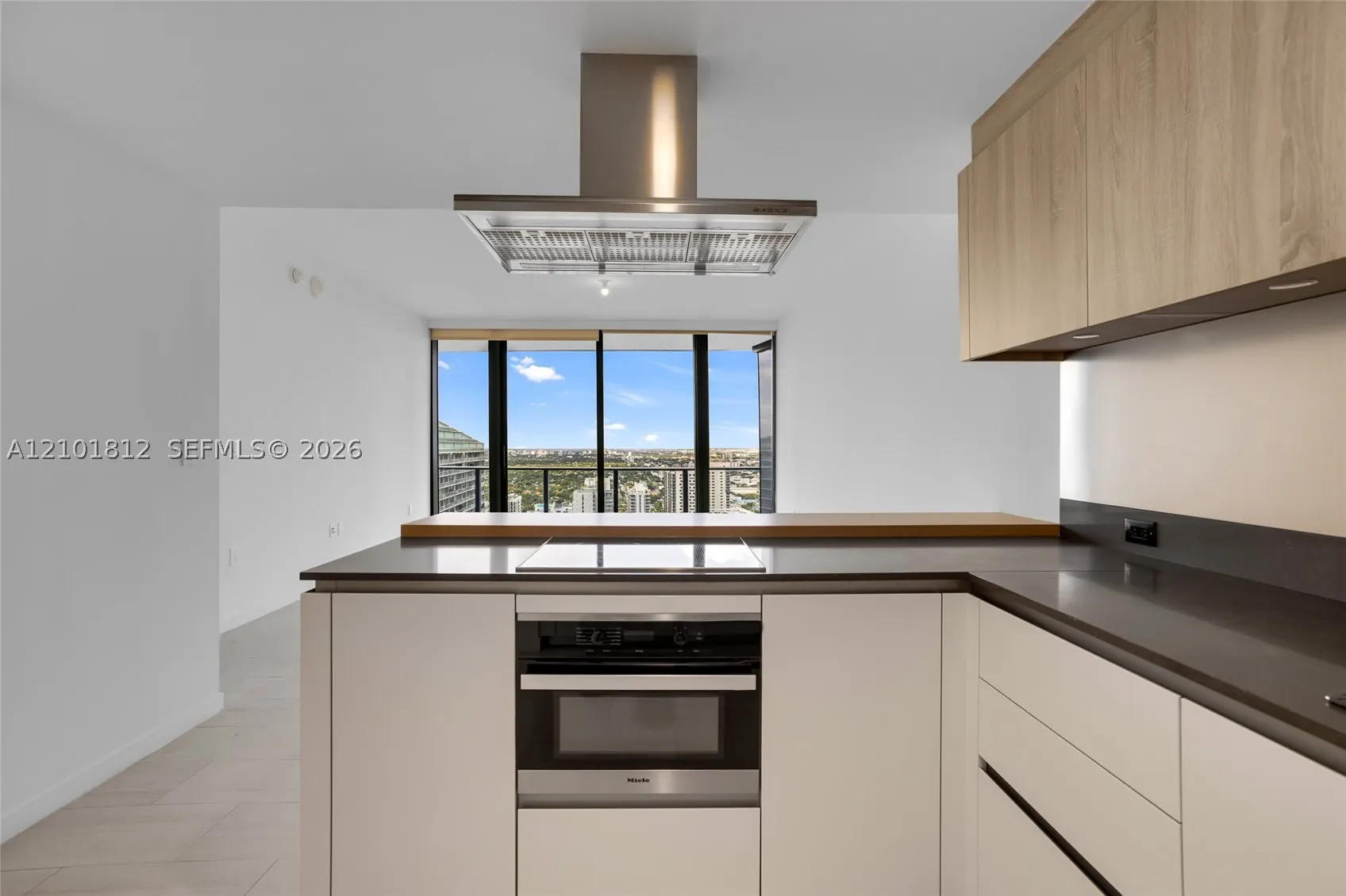 1000 Brickell Plz #3904