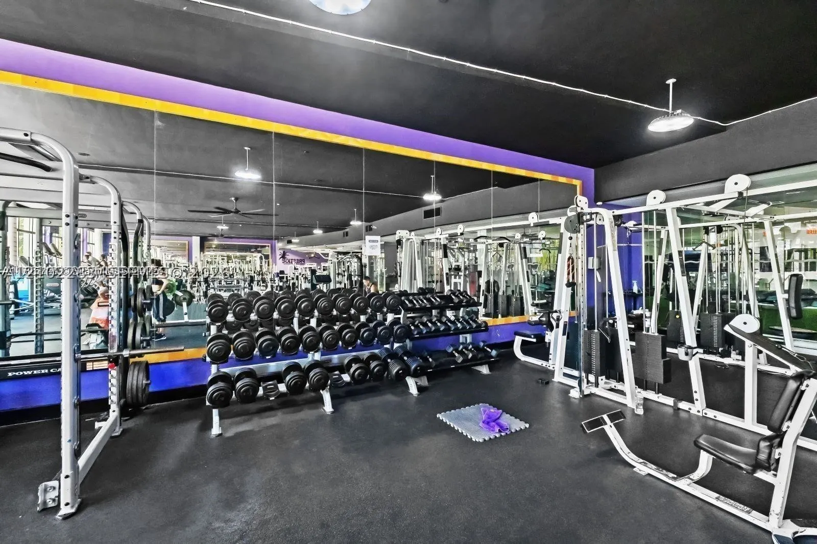 1000 West Avenue #531