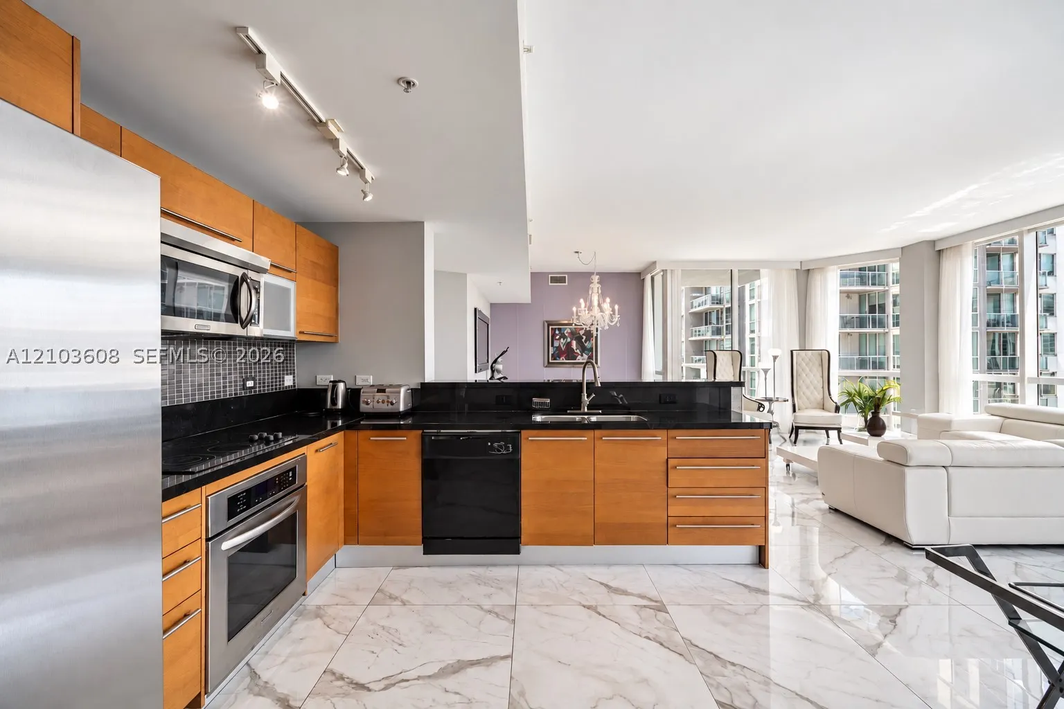 244 Biscayne Blvd #4308