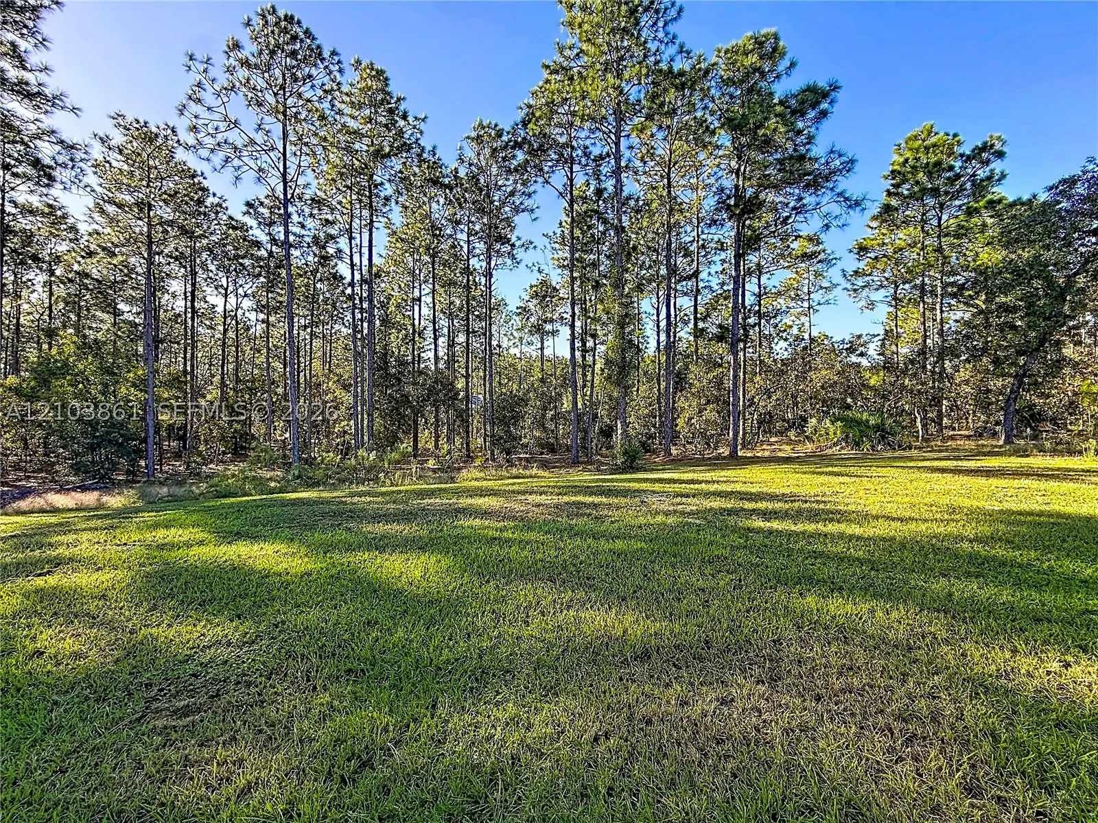 12578 SW 62 Pl