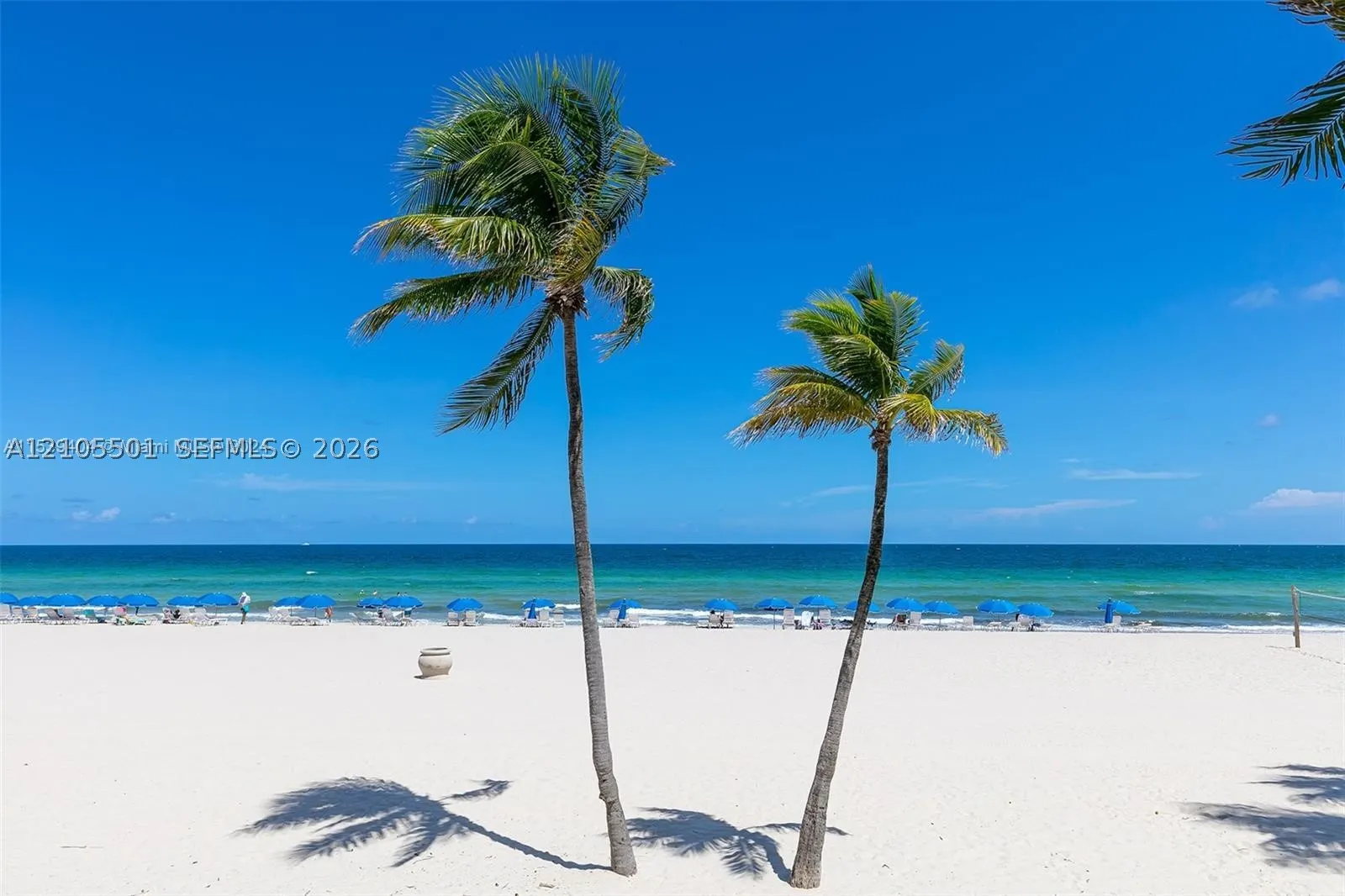 2101 S Ocean Dr #1902