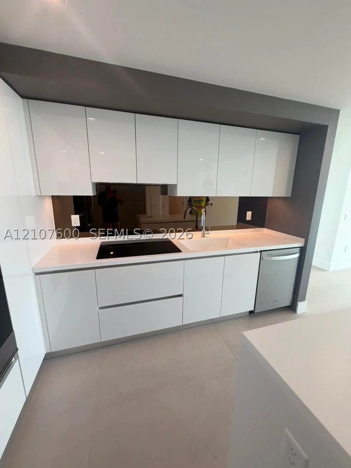 1170 E Hallandale Beach Blvd #2409