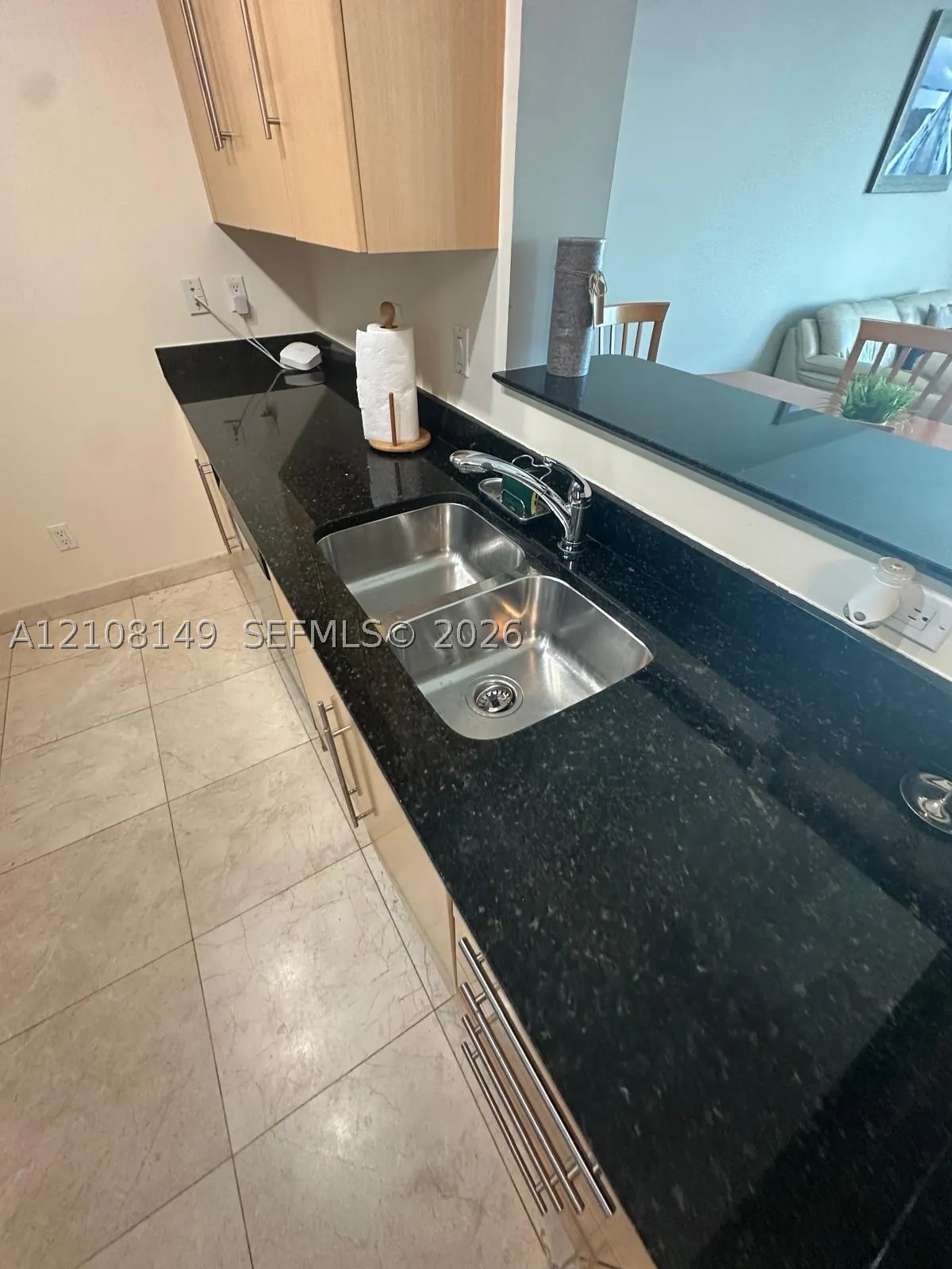 335 S Biscayne Blvd #4204