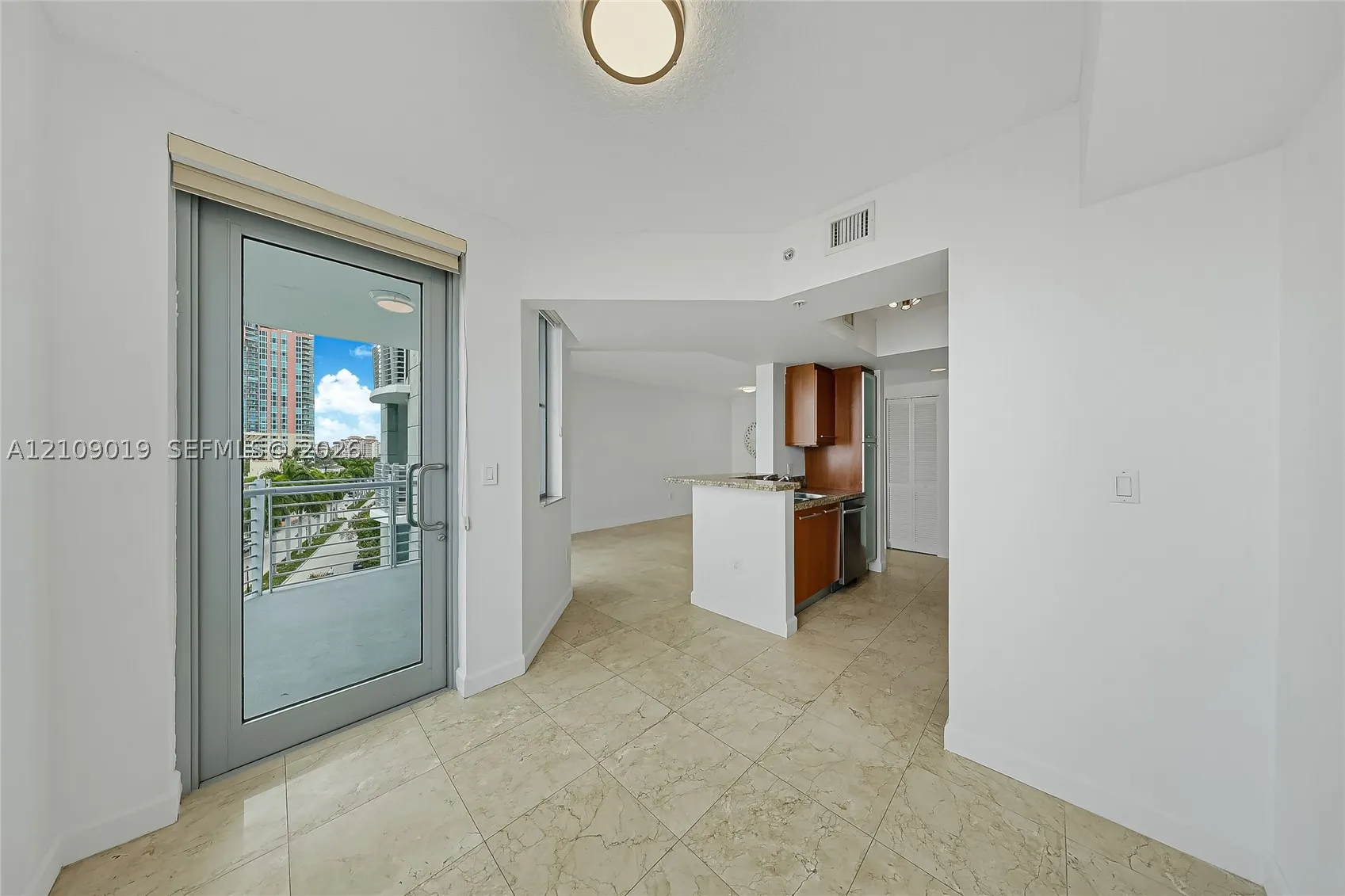 110 Washington Ave #1703