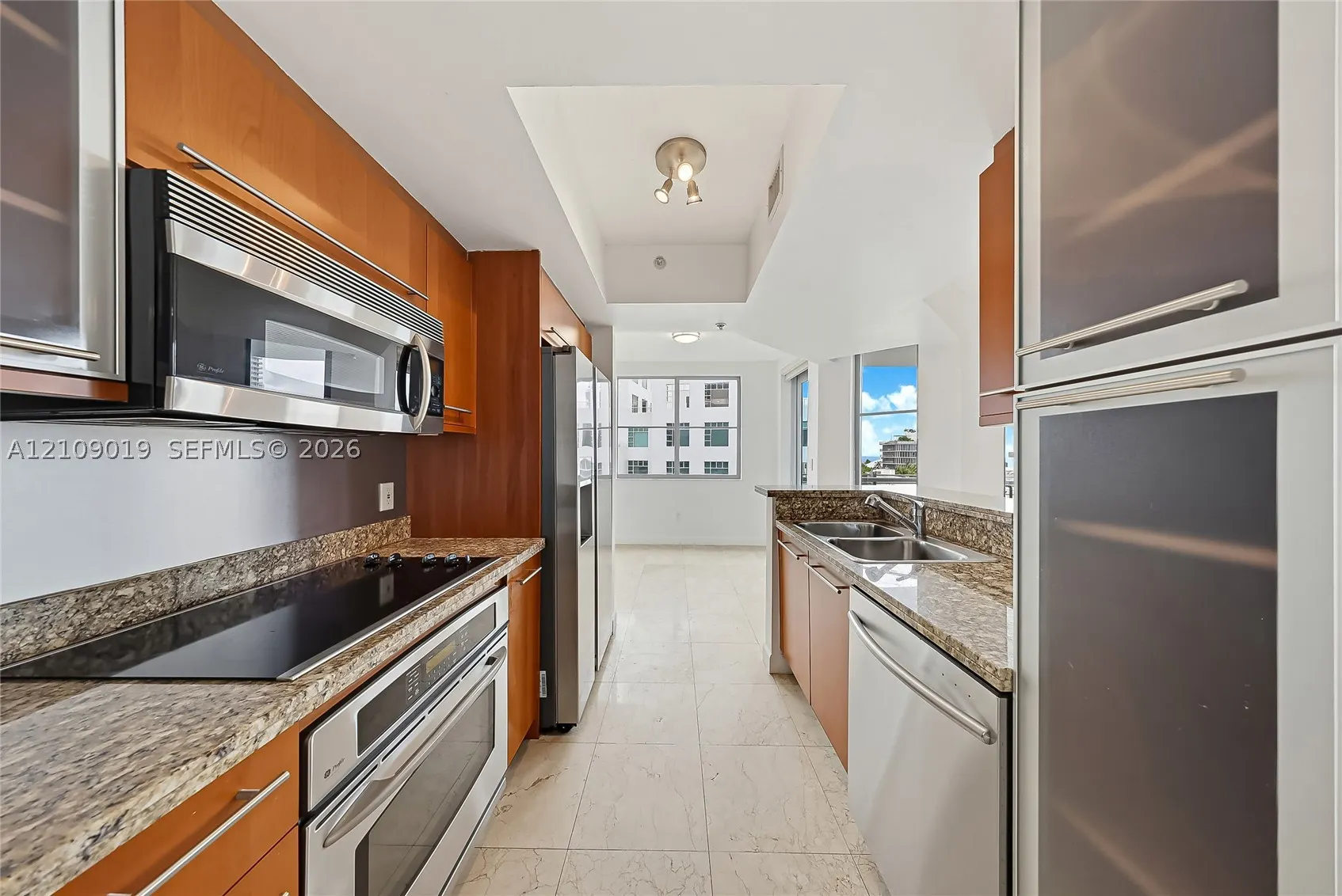 110 Washington Ave #1703