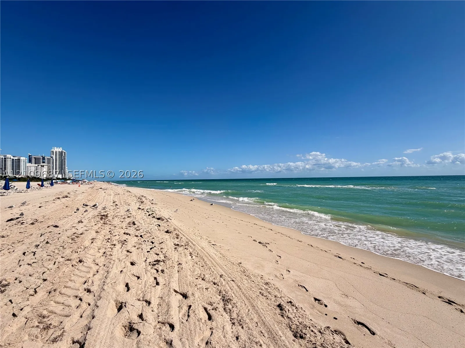 5555 Collins Ave #5C