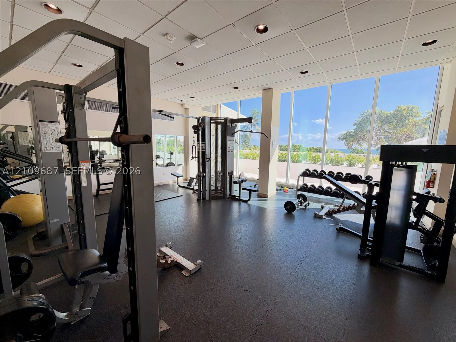 5555 Collins Ave #5C