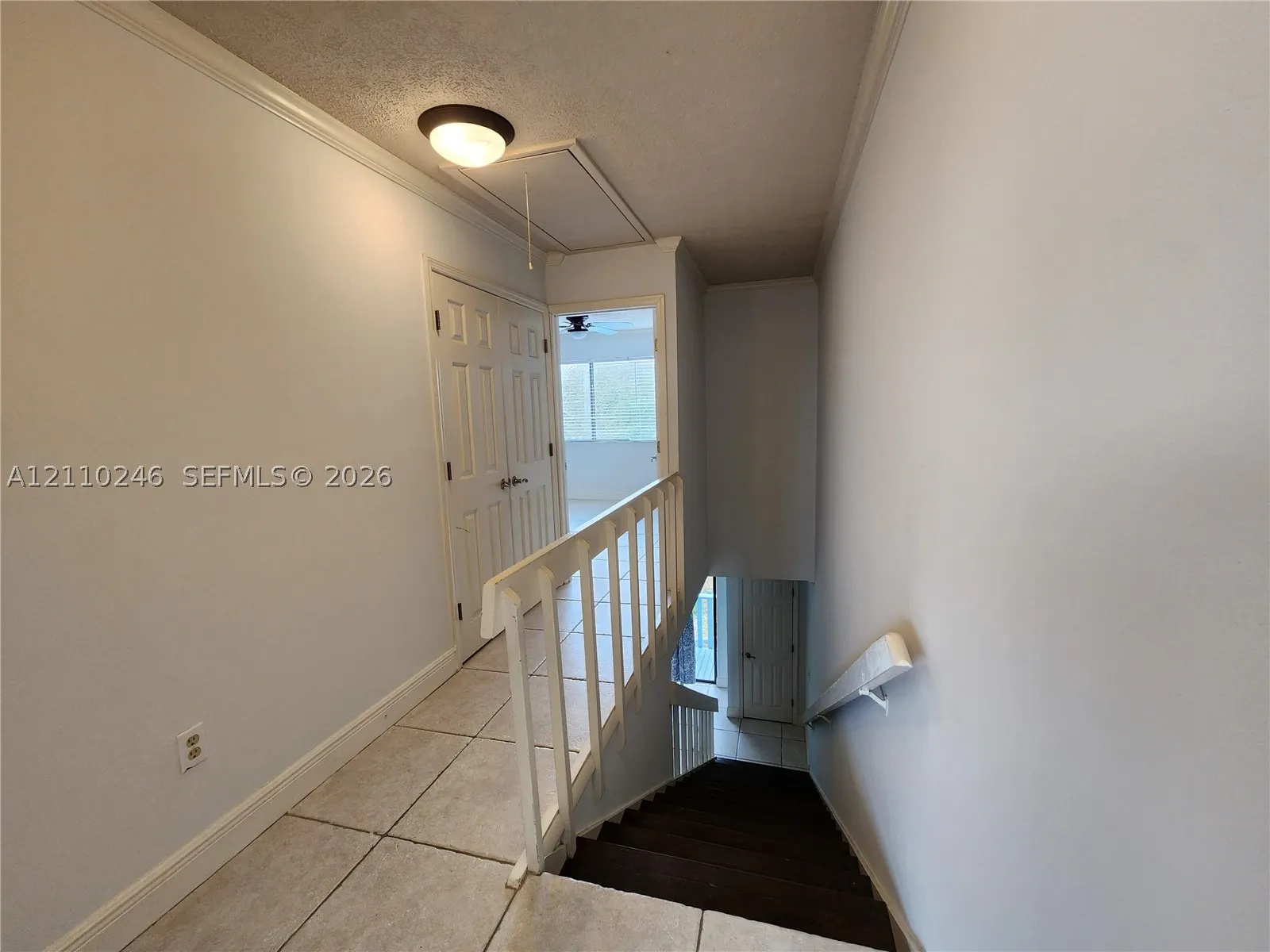 3145 Coastal Hwy #1146