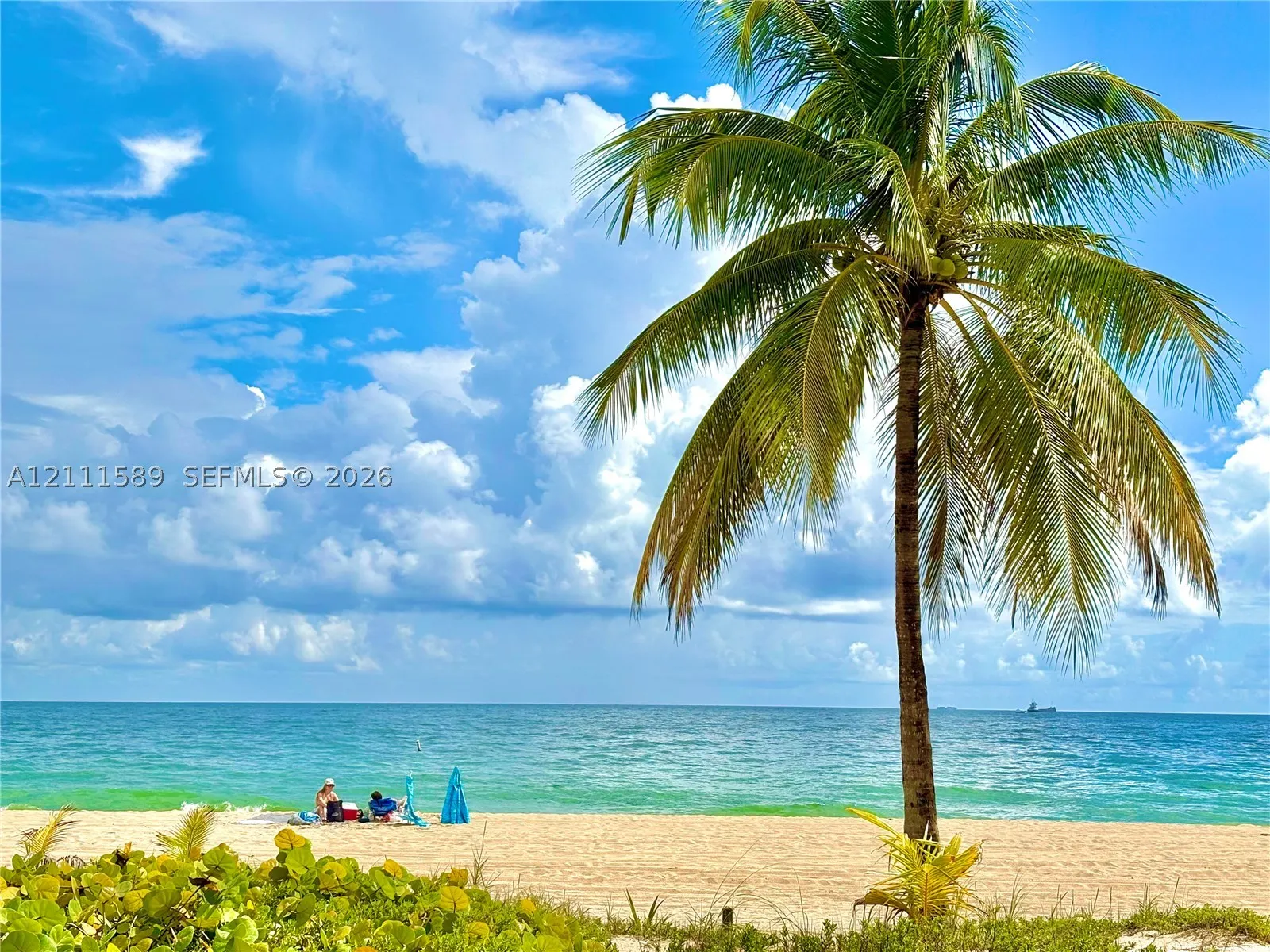 1151 N Fort Lauderdale Beach Blvd #6D