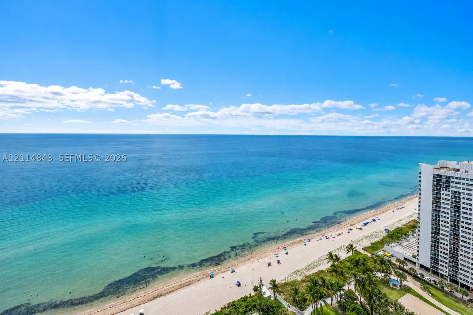 1850 S Ocean Dr #3001