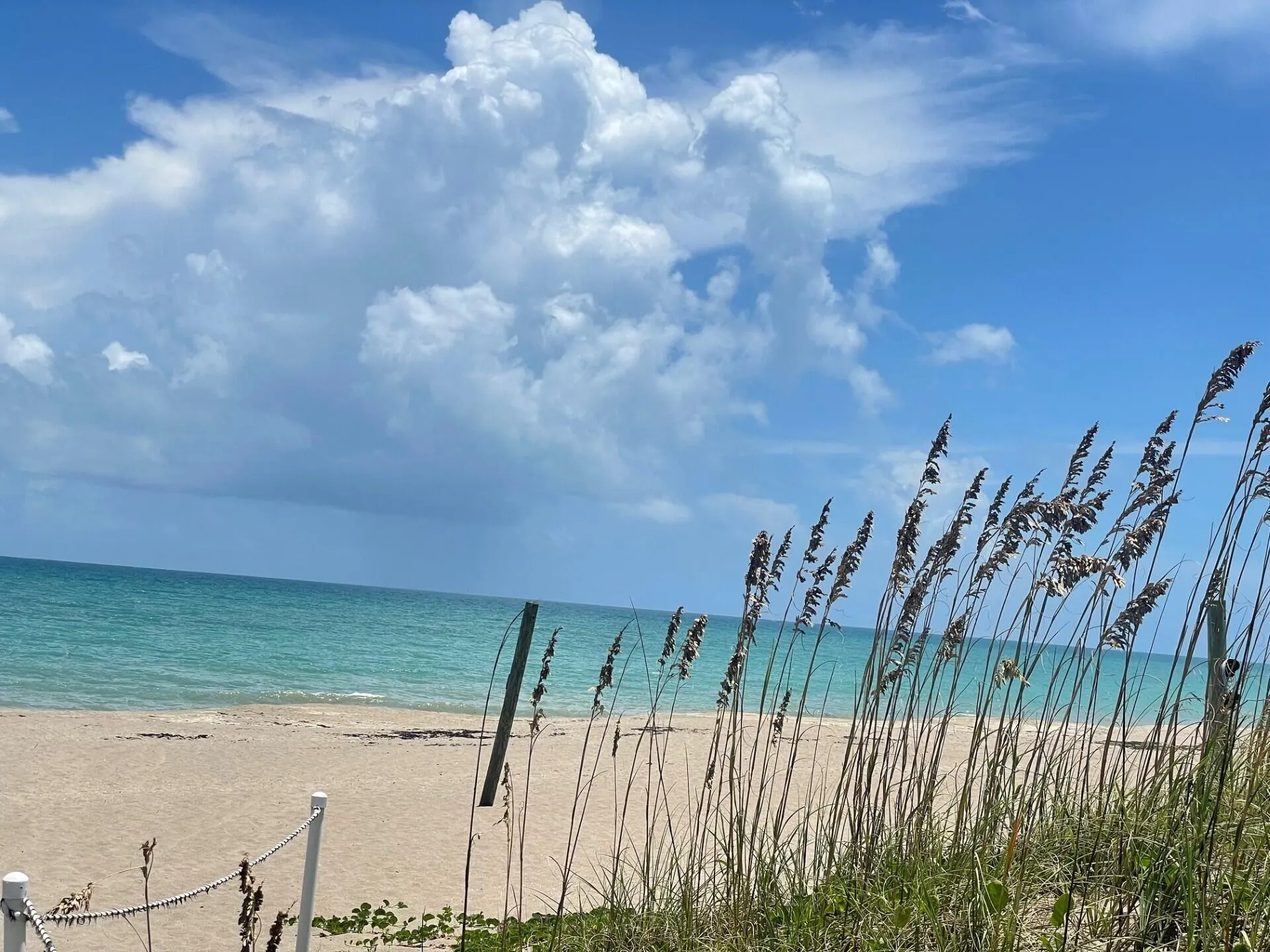 2400 S Ocean Drive #7642