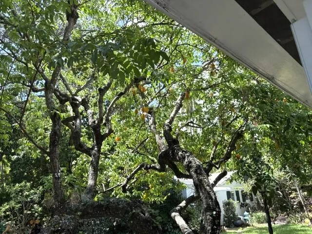 41 SW 5TH Street