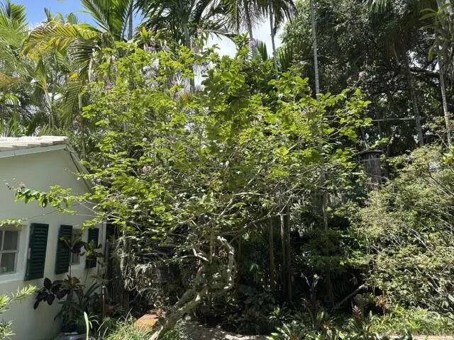 41 SW 5TH Street