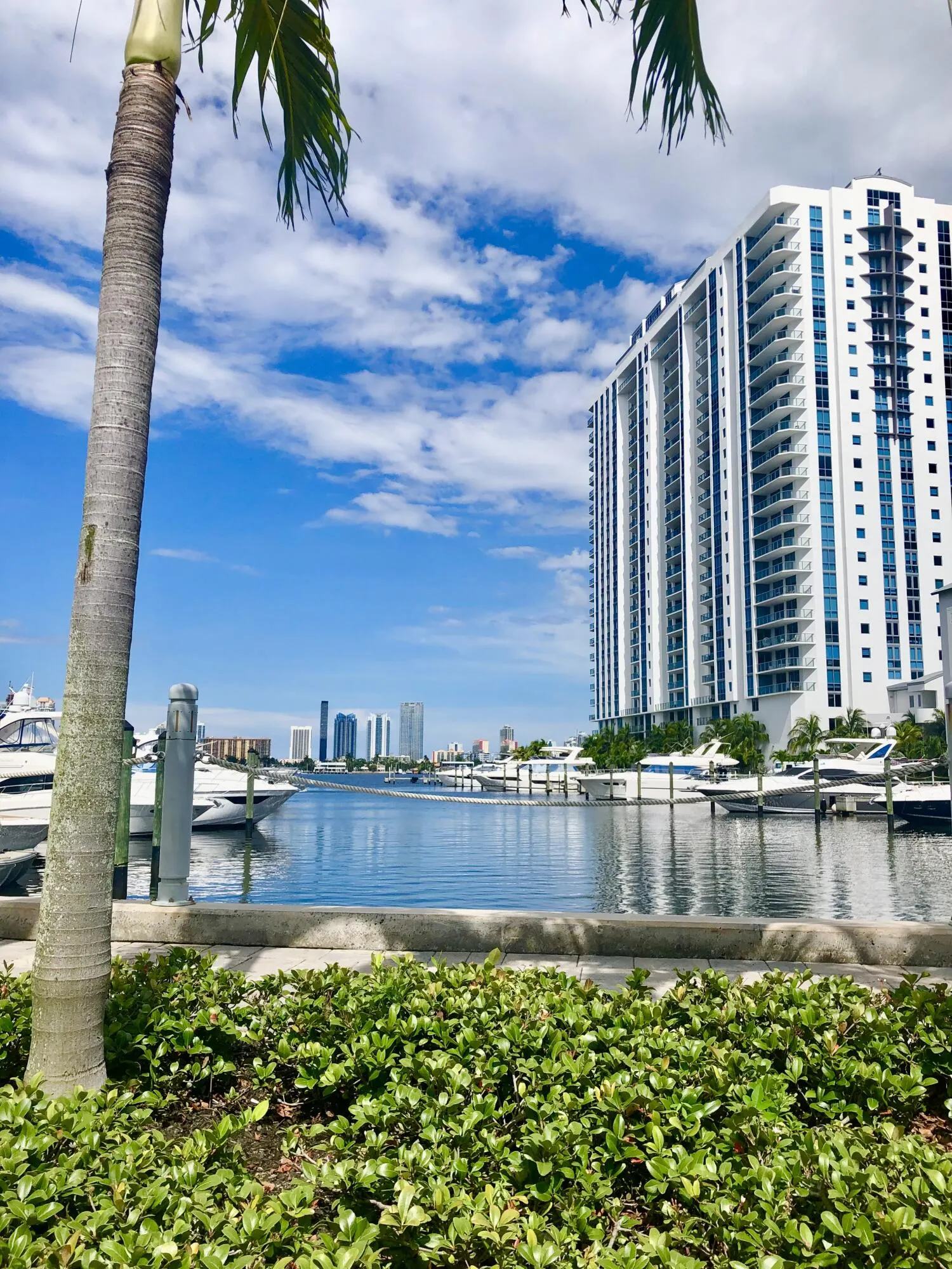 17111 BISCAYNE Boulevard #1903