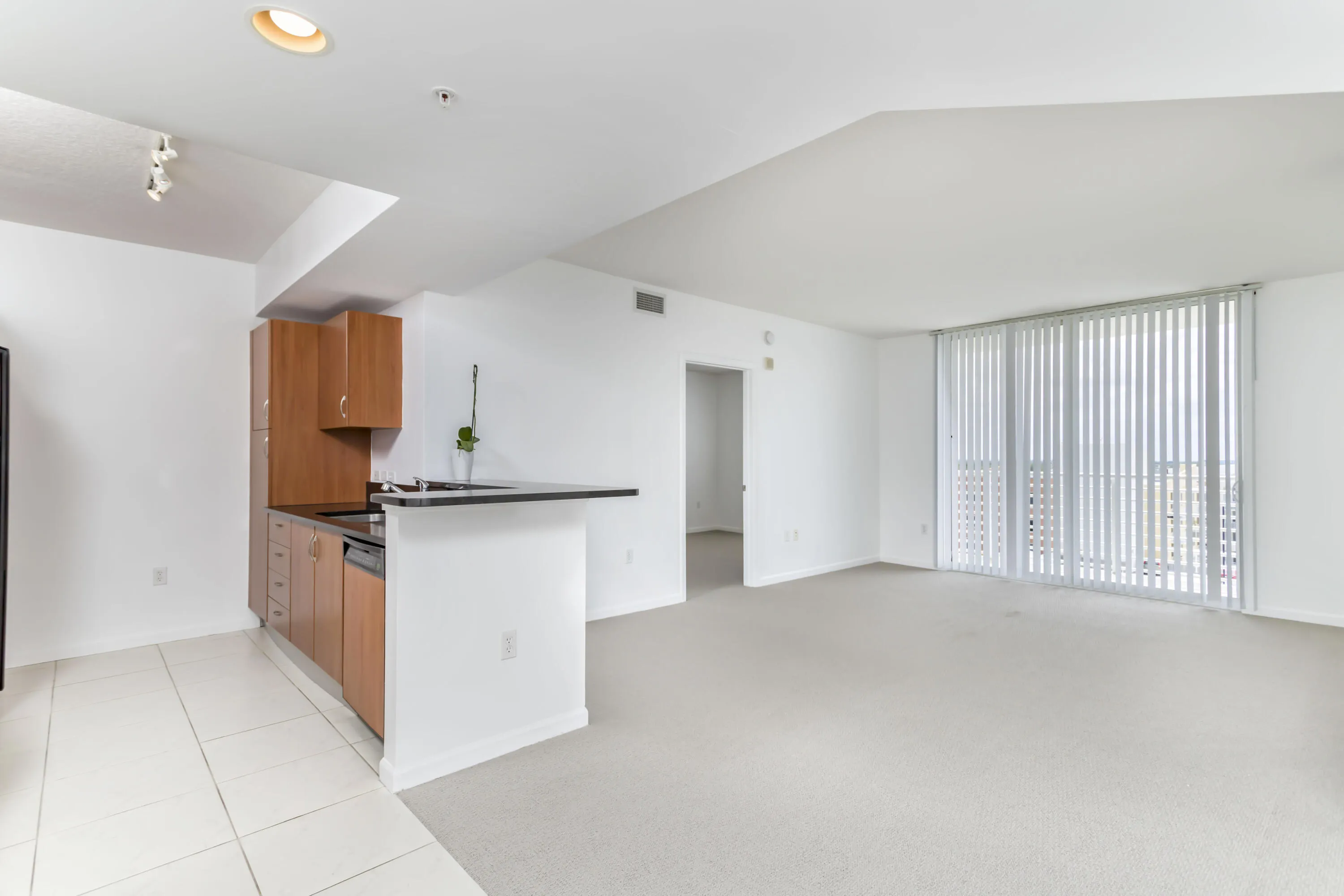 18800 NE 29 Avenue #923