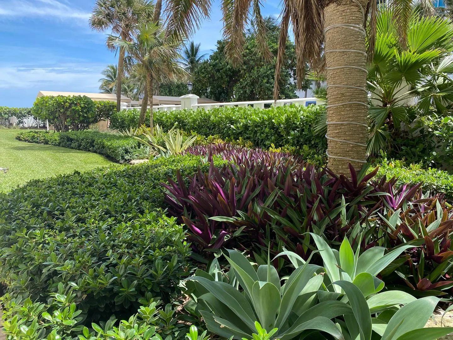 3505 S OCEAN Drive #806
