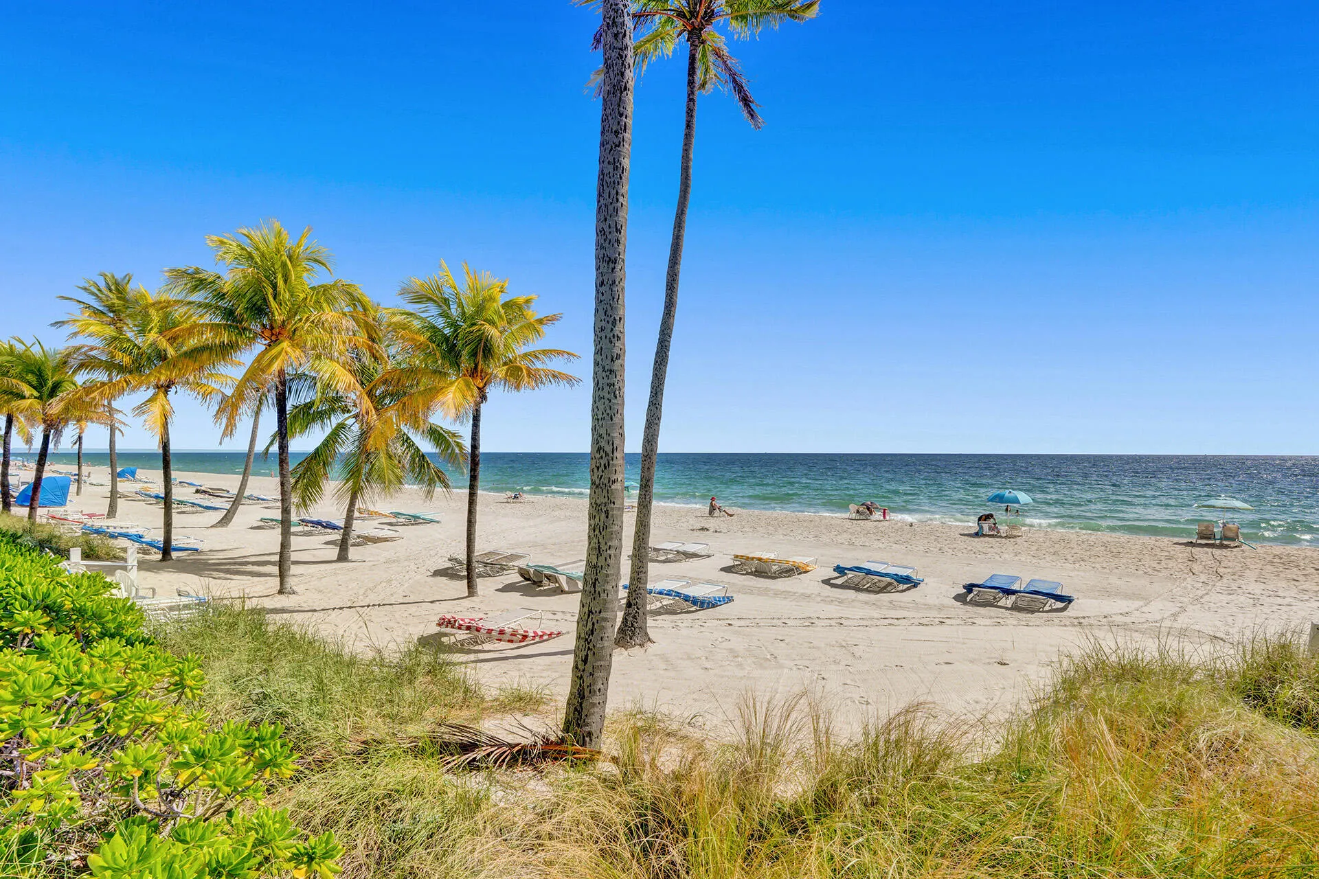 3430 Galt Ocean Drive #1705
