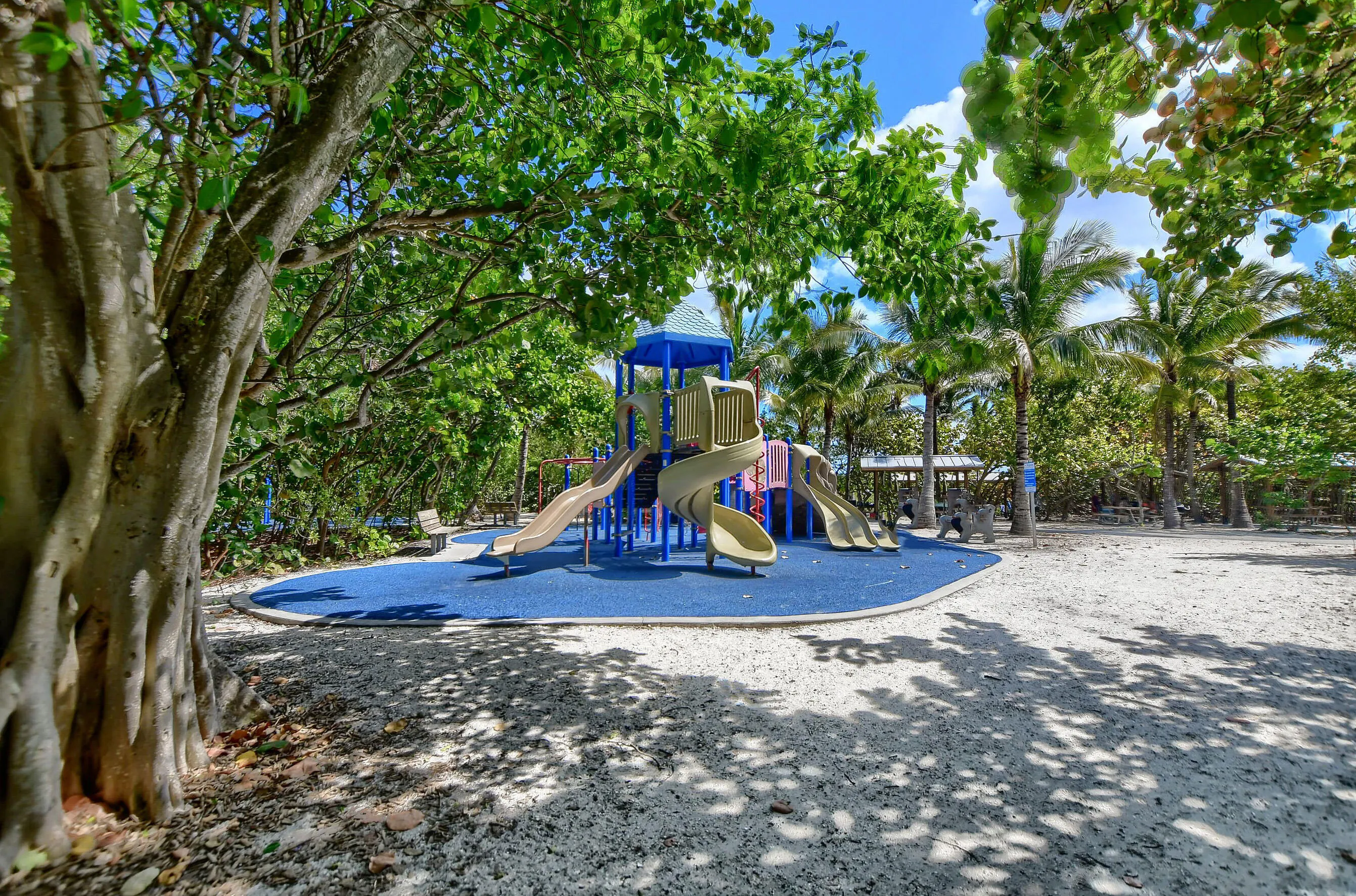 800 E Camino Real #305