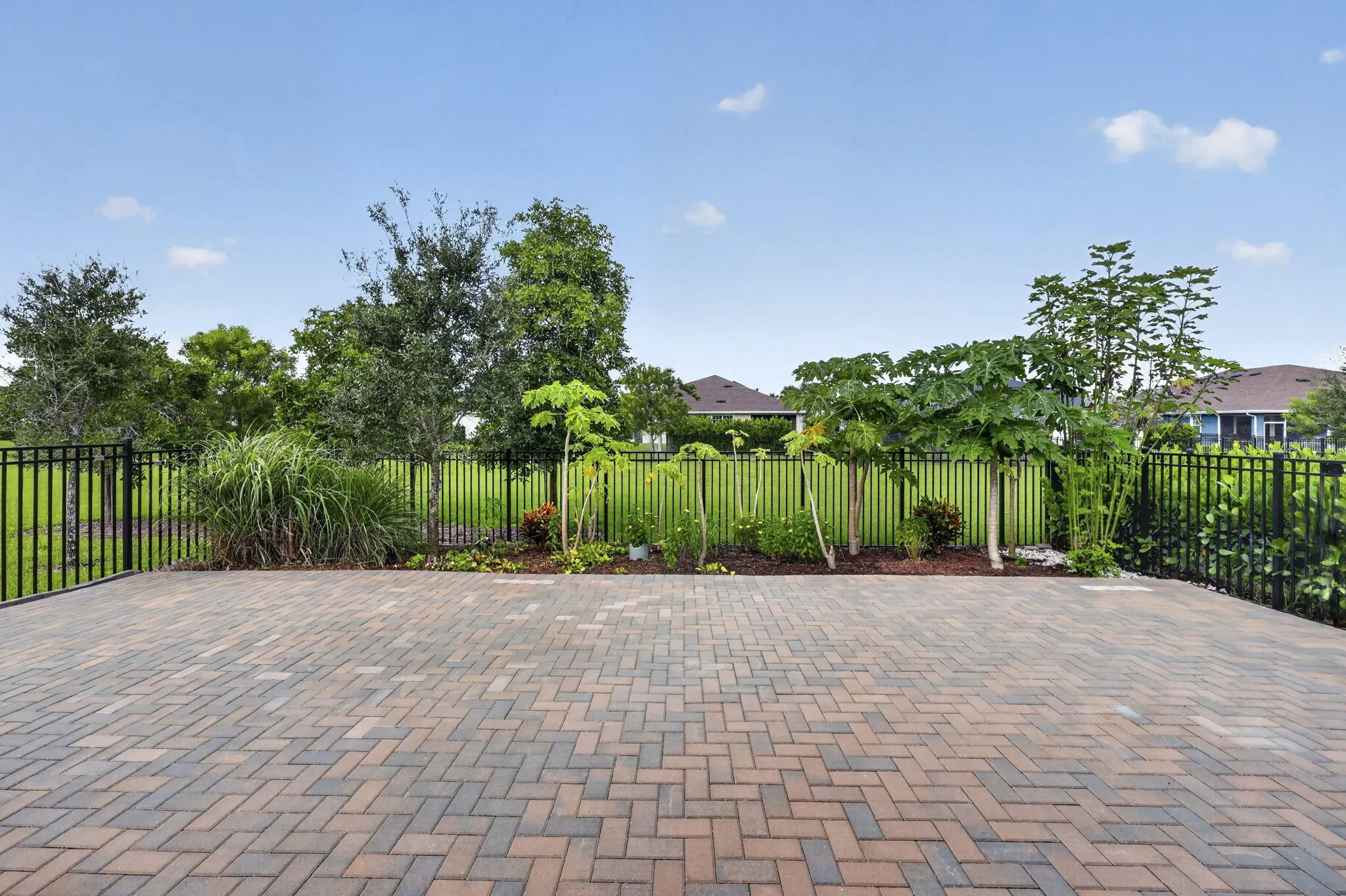 1243 TANGLED ORCHARD Trace