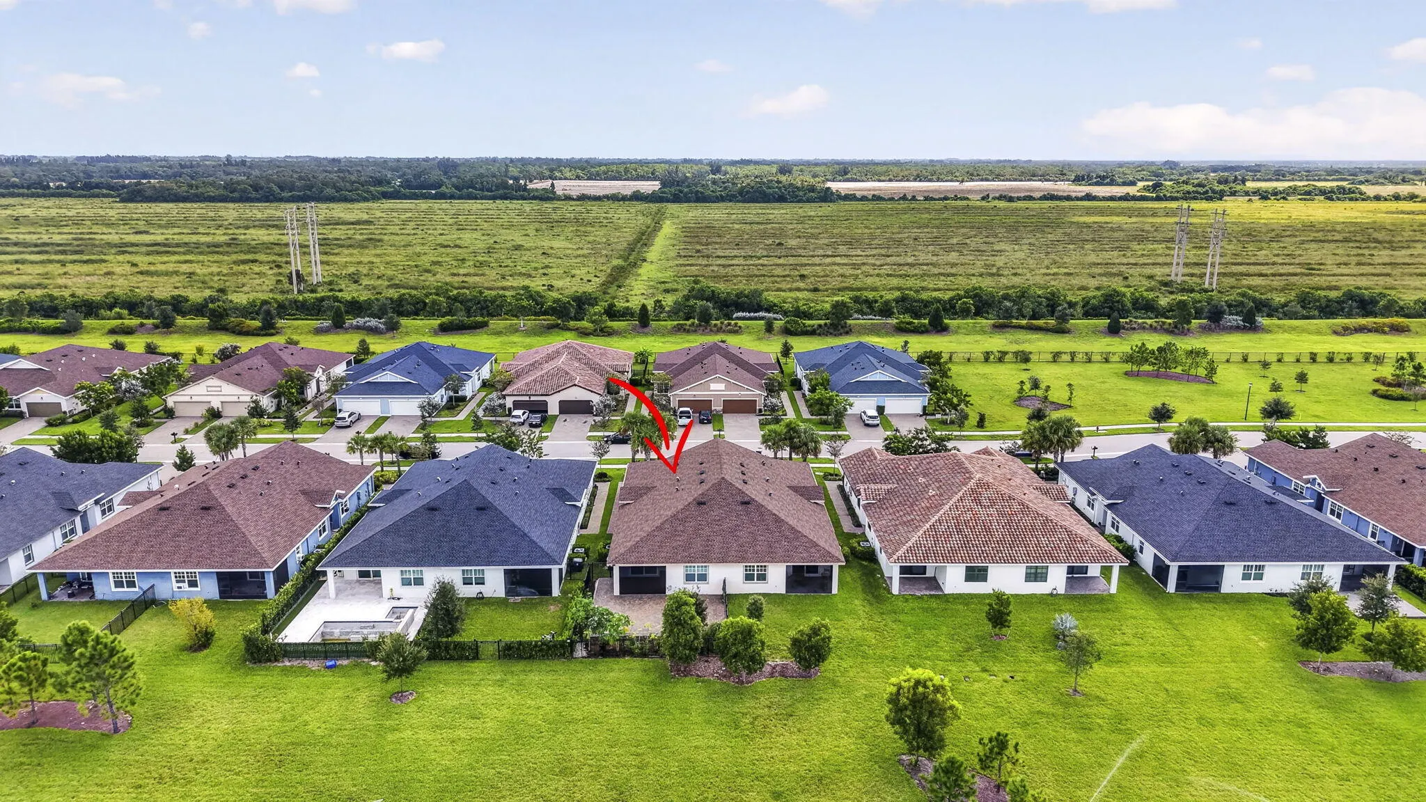 1243 TANGLED ORCHARD Trace