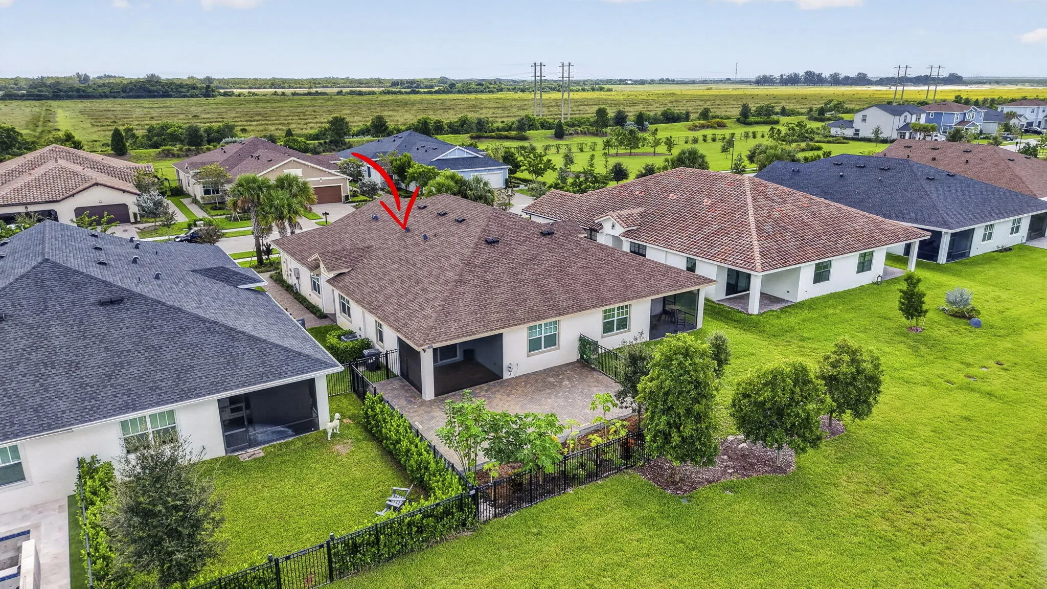 1243 TANGLED ORCHARD Trace