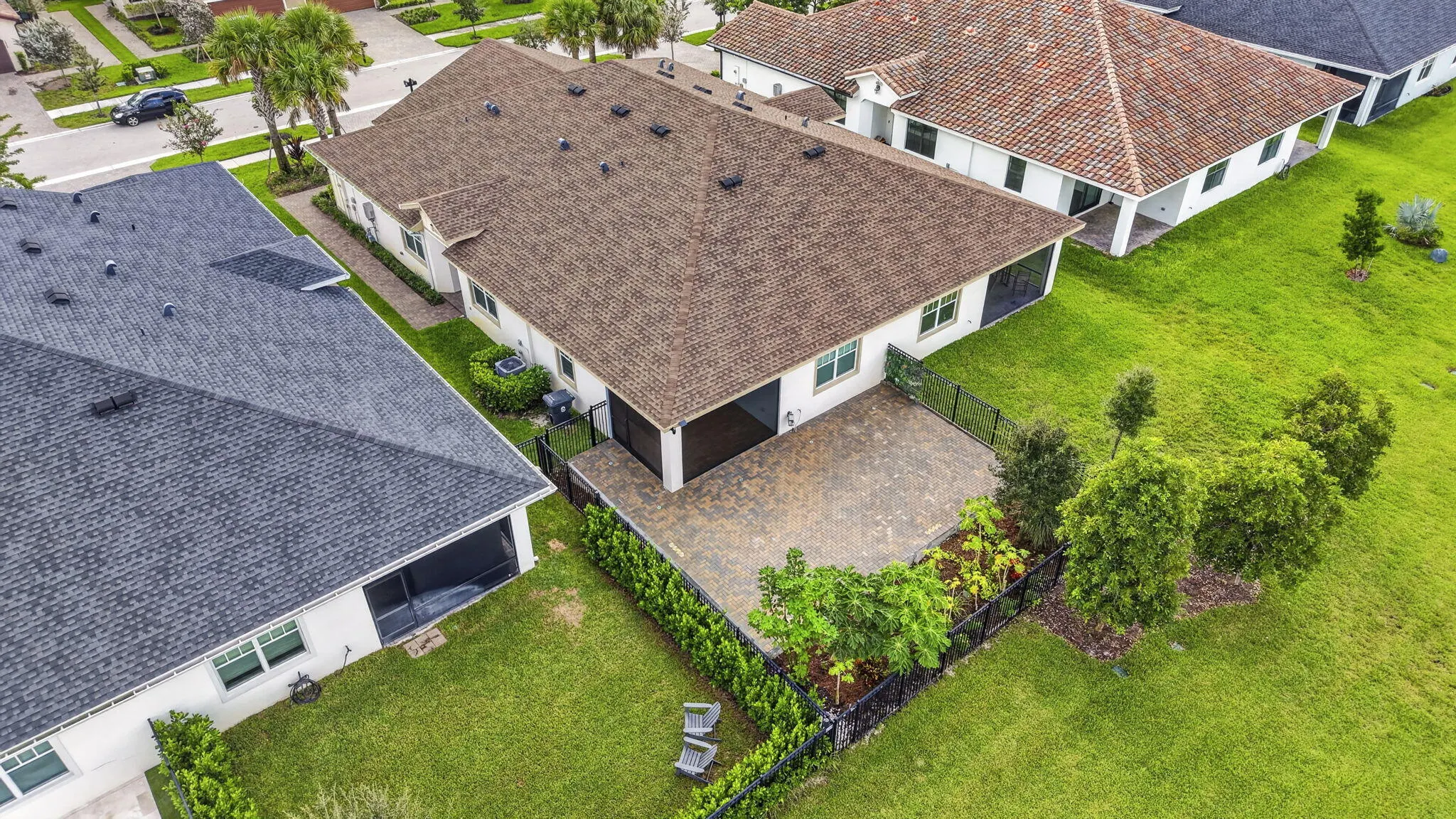 1243 TANGLED ORCHARD Trace