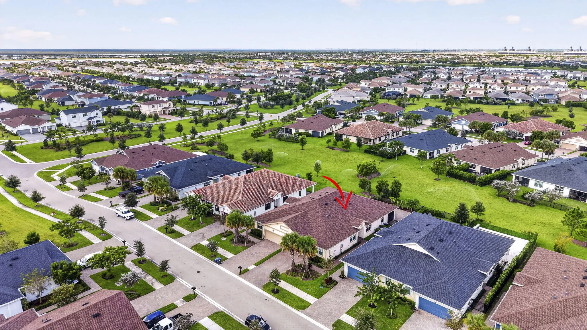 1243 TANGLED ORCHARD Trace