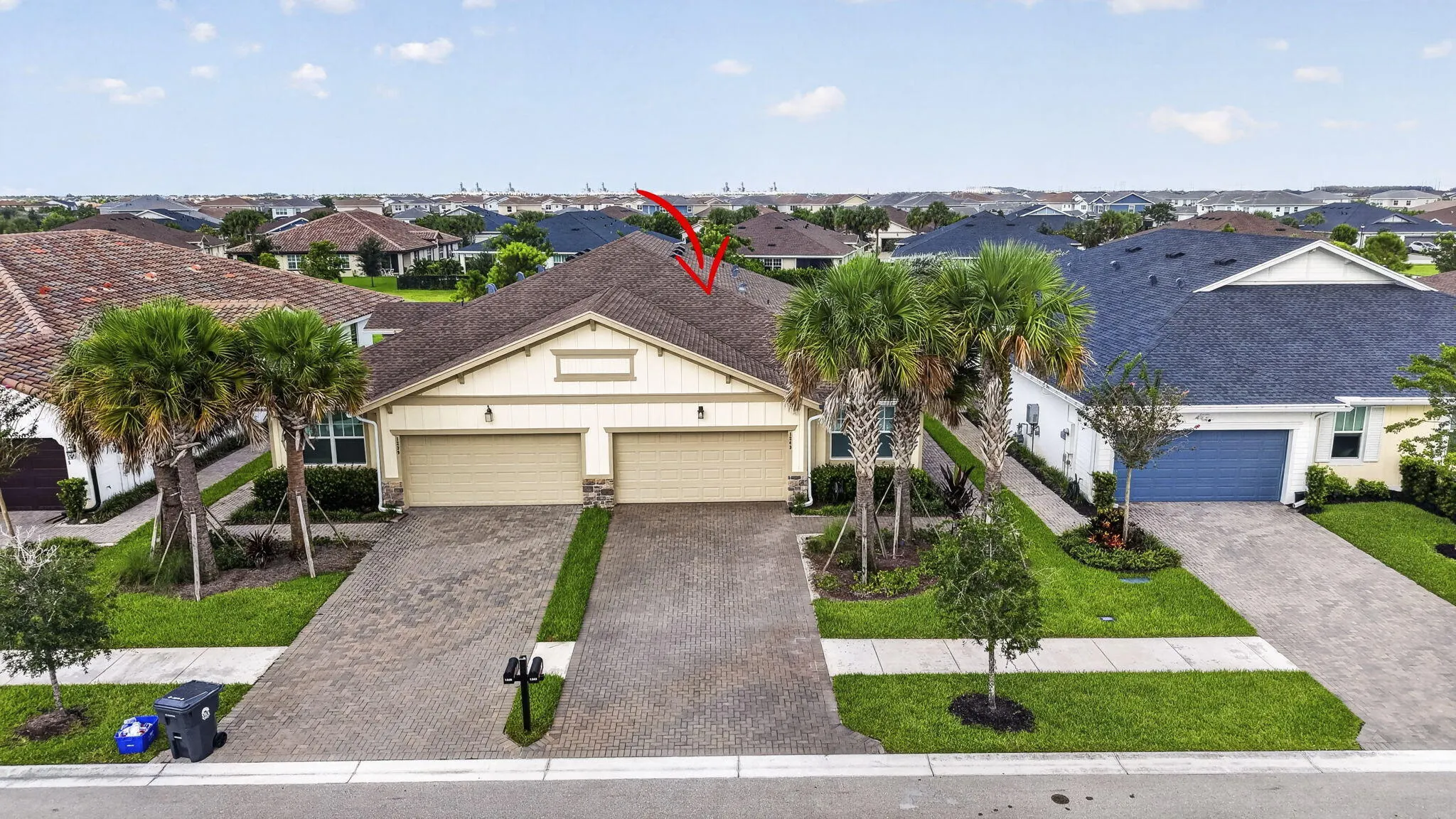 1243 TANGLED ORCHARD Trace