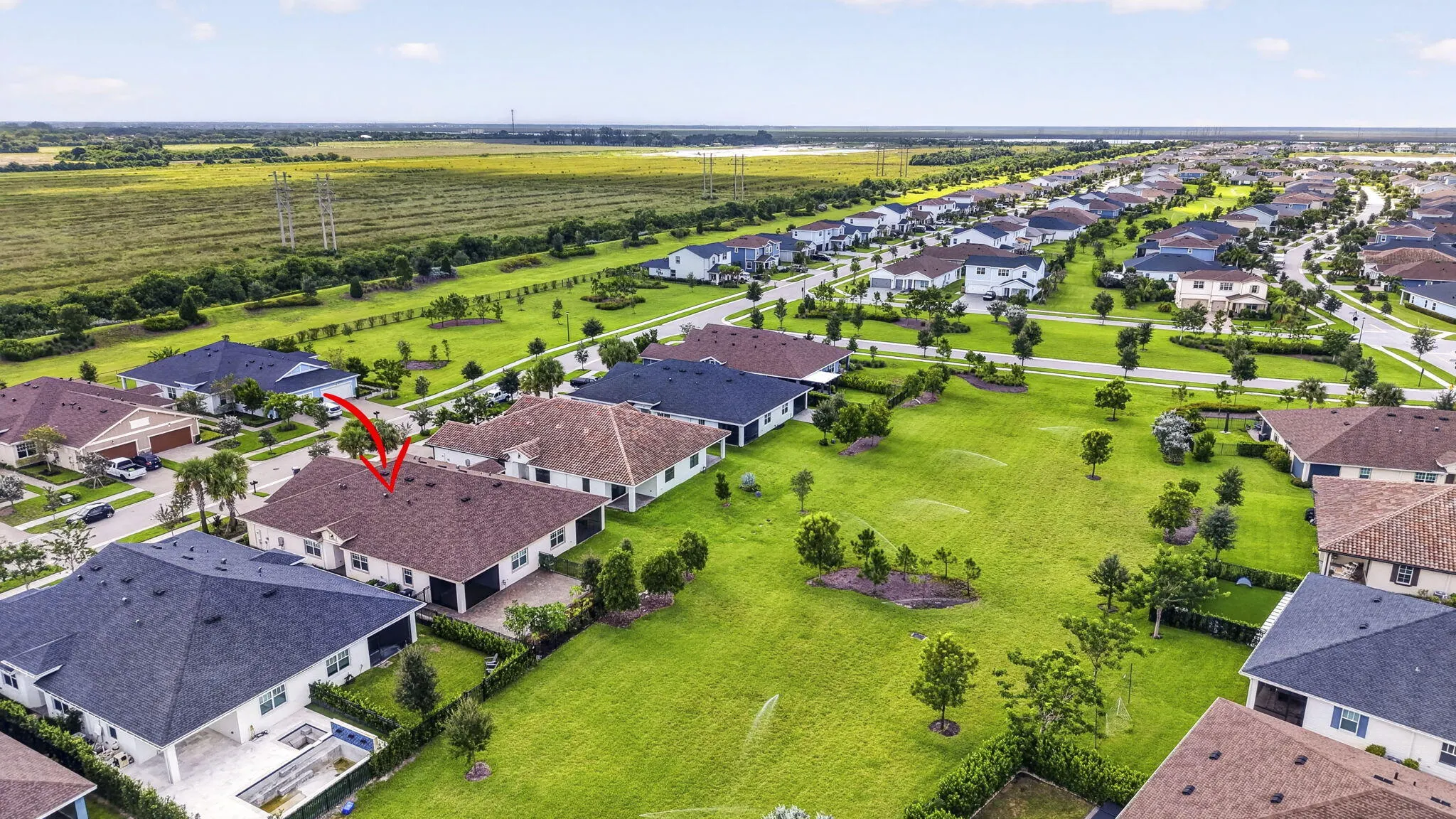 1243 TANGLED ORCHARD Trace