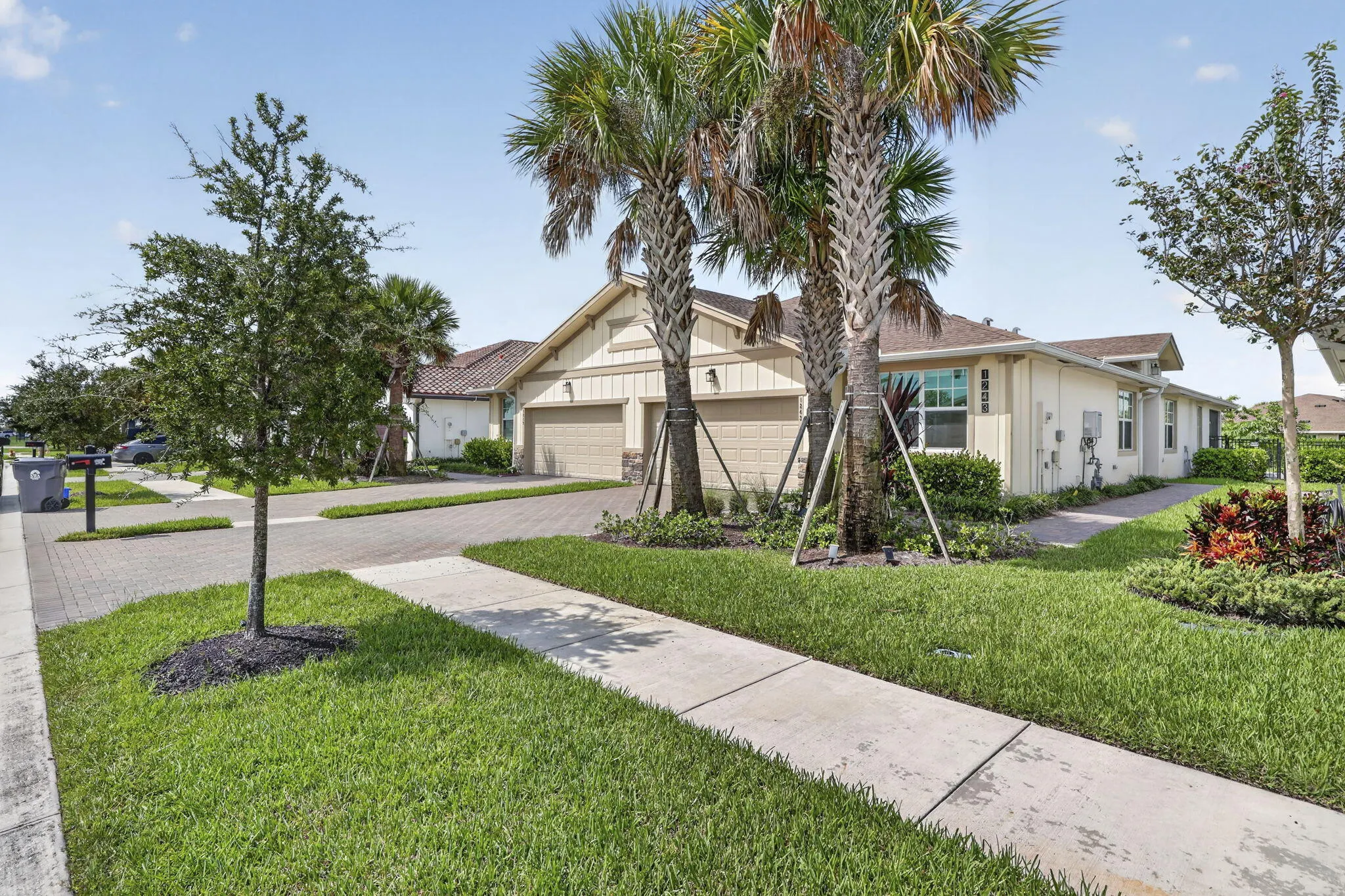 1243 TANGLED ORCHARD Trace