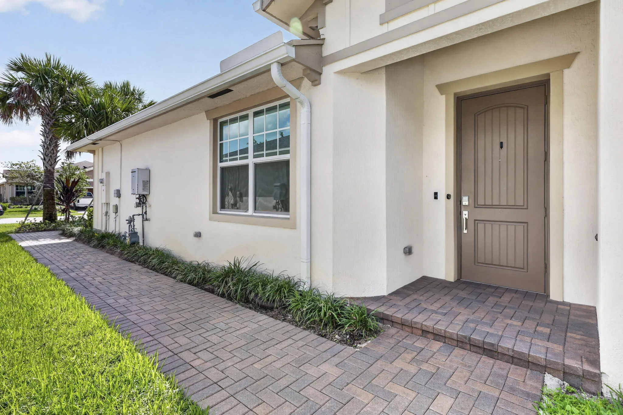 1243 TANGLED ORCHARD Trace